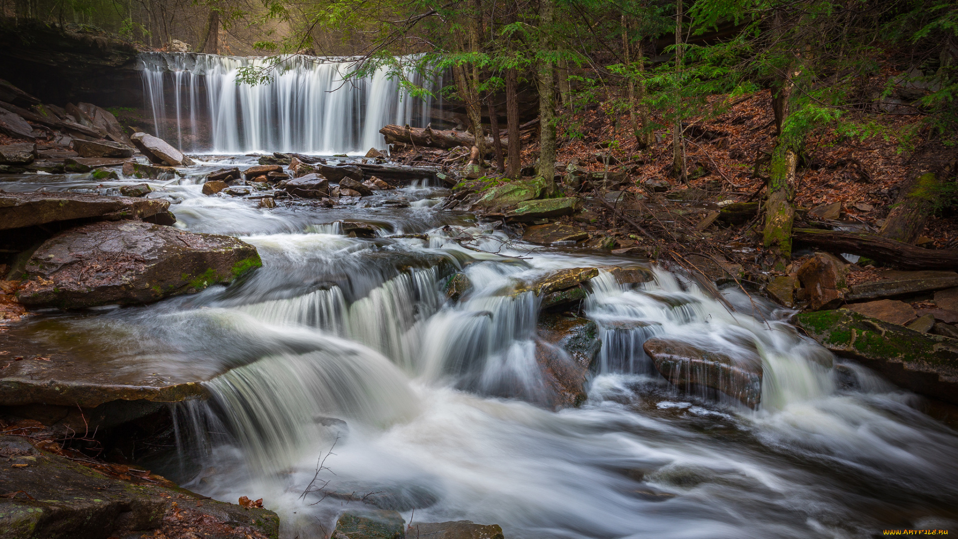 природа, водопады, водопад, река, лес