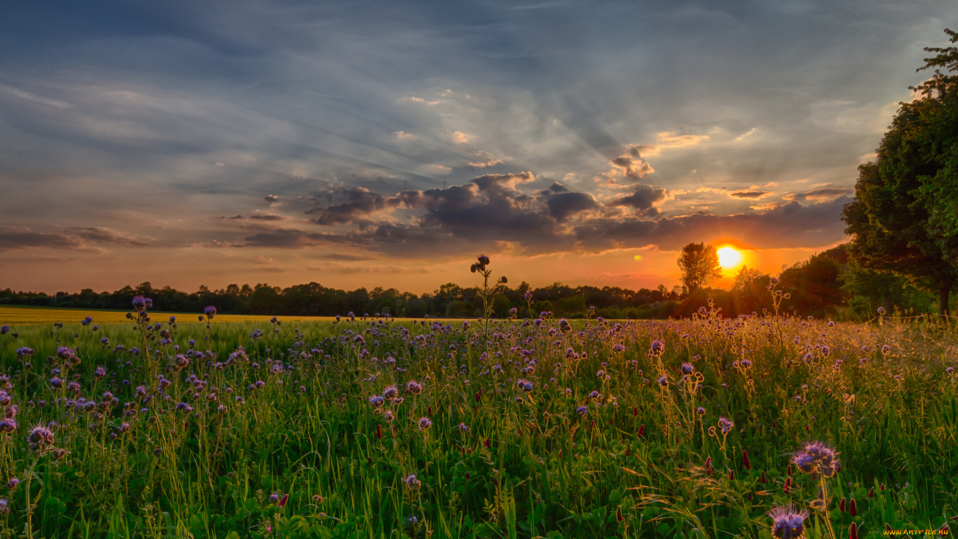 природа, восходы, закаты, рассвет