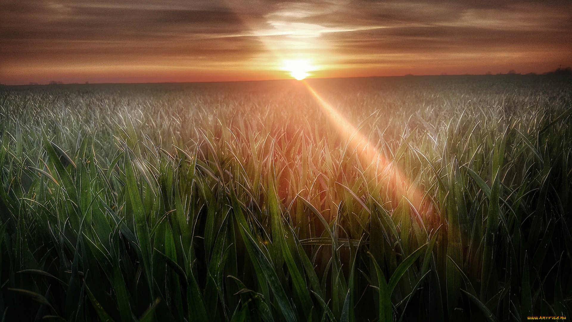 природа, восходы, закаты, рассвет