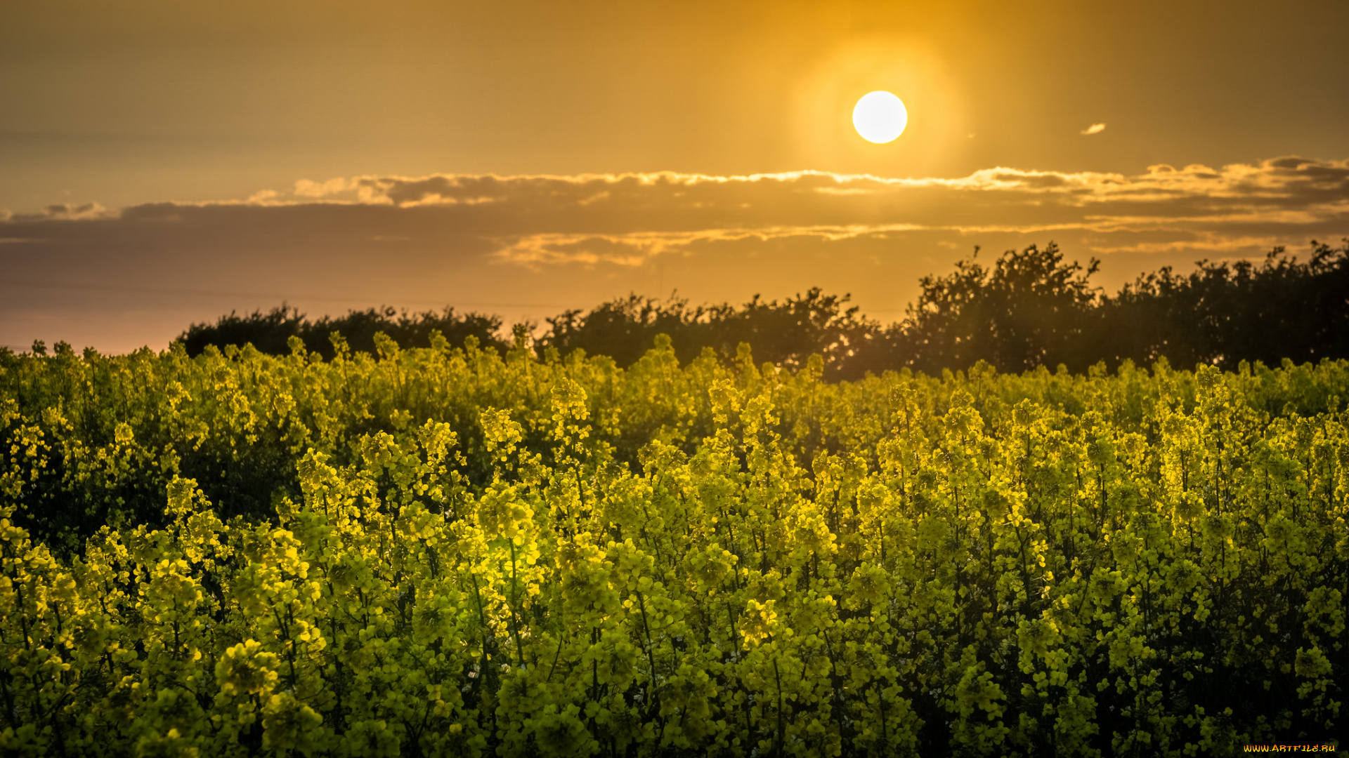природа, восходы, закаты, рассвет