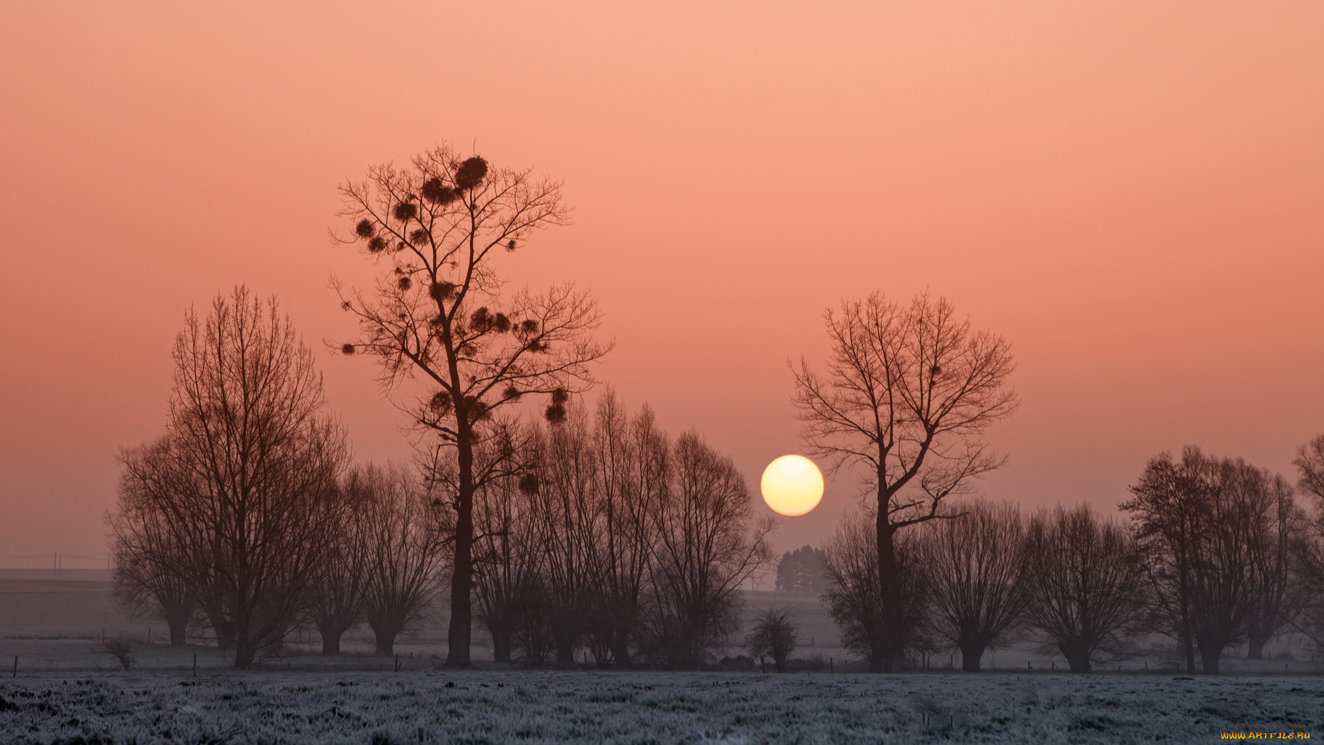 природа, восходы, закаты, закат, небо