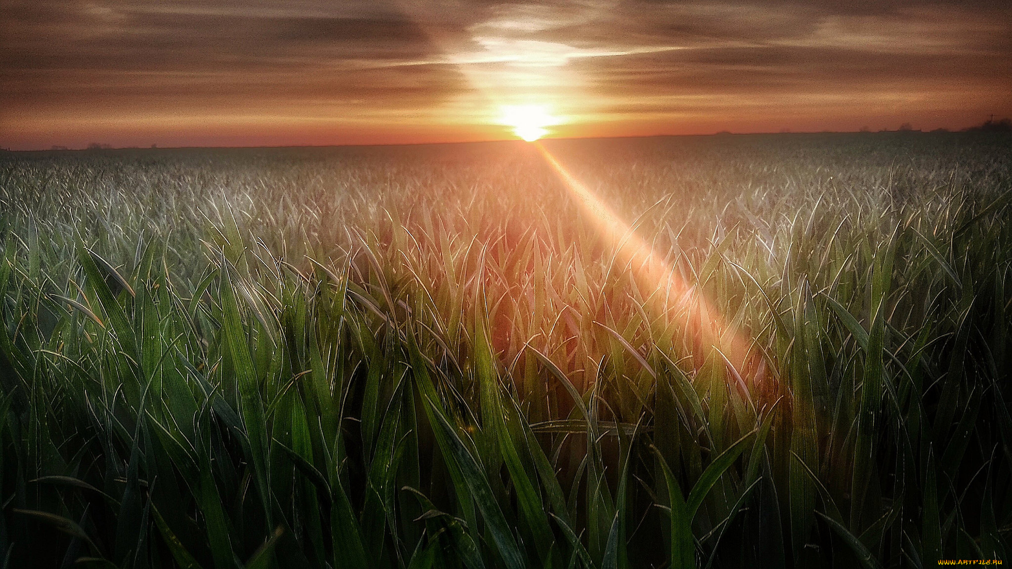 природа, восходы, закаты, рассвет