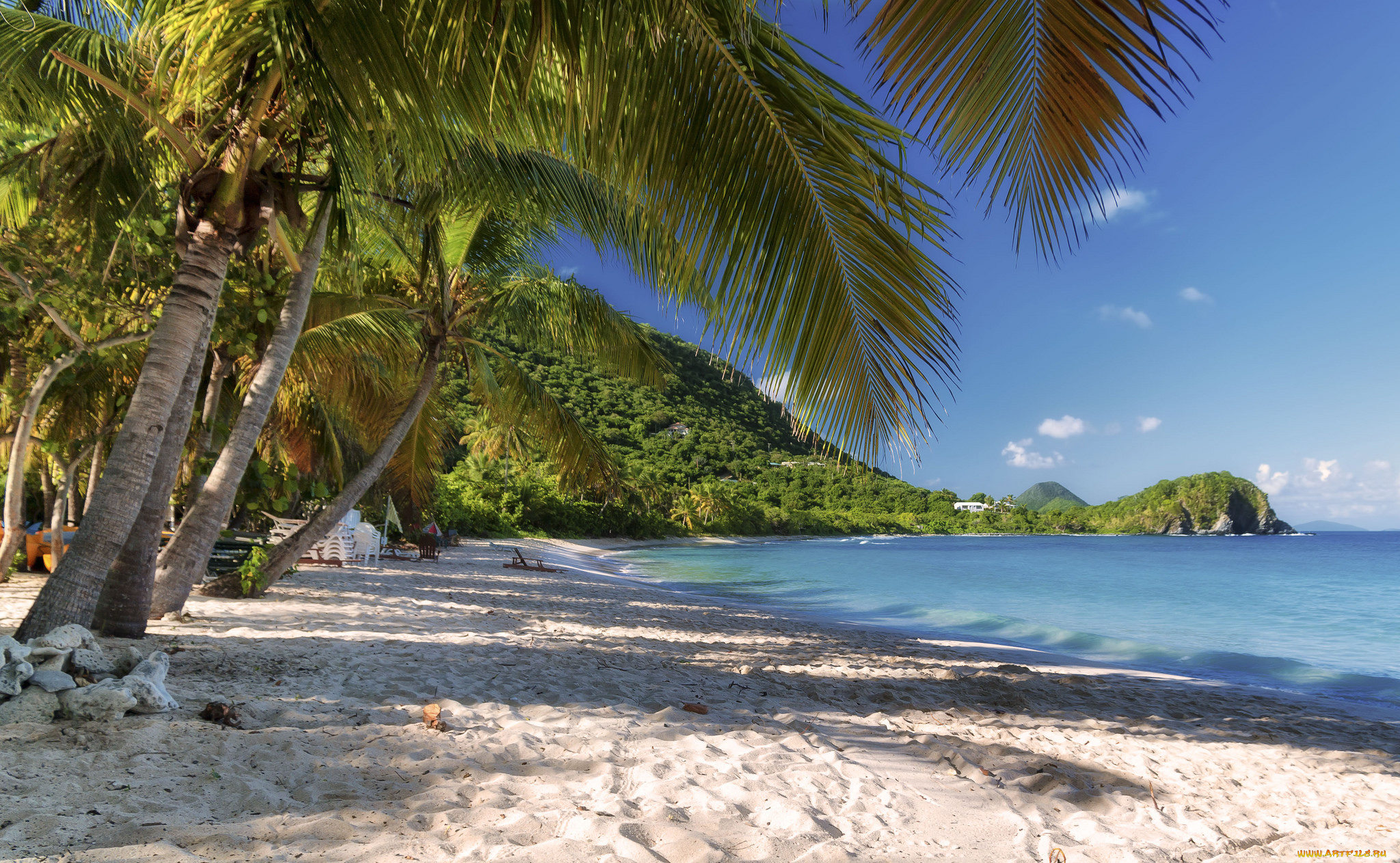 природа, тропики, берег, океан