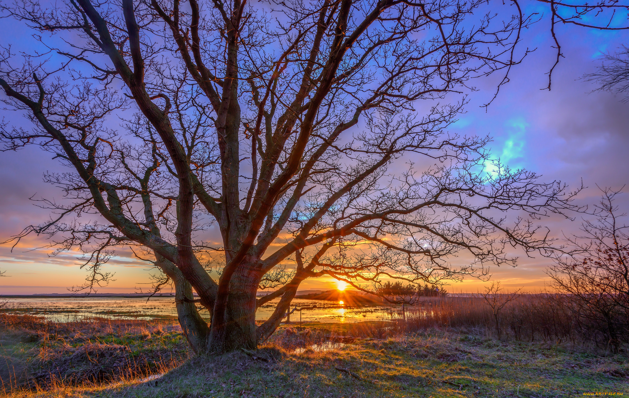 природа, восходы, закаты, рассвет