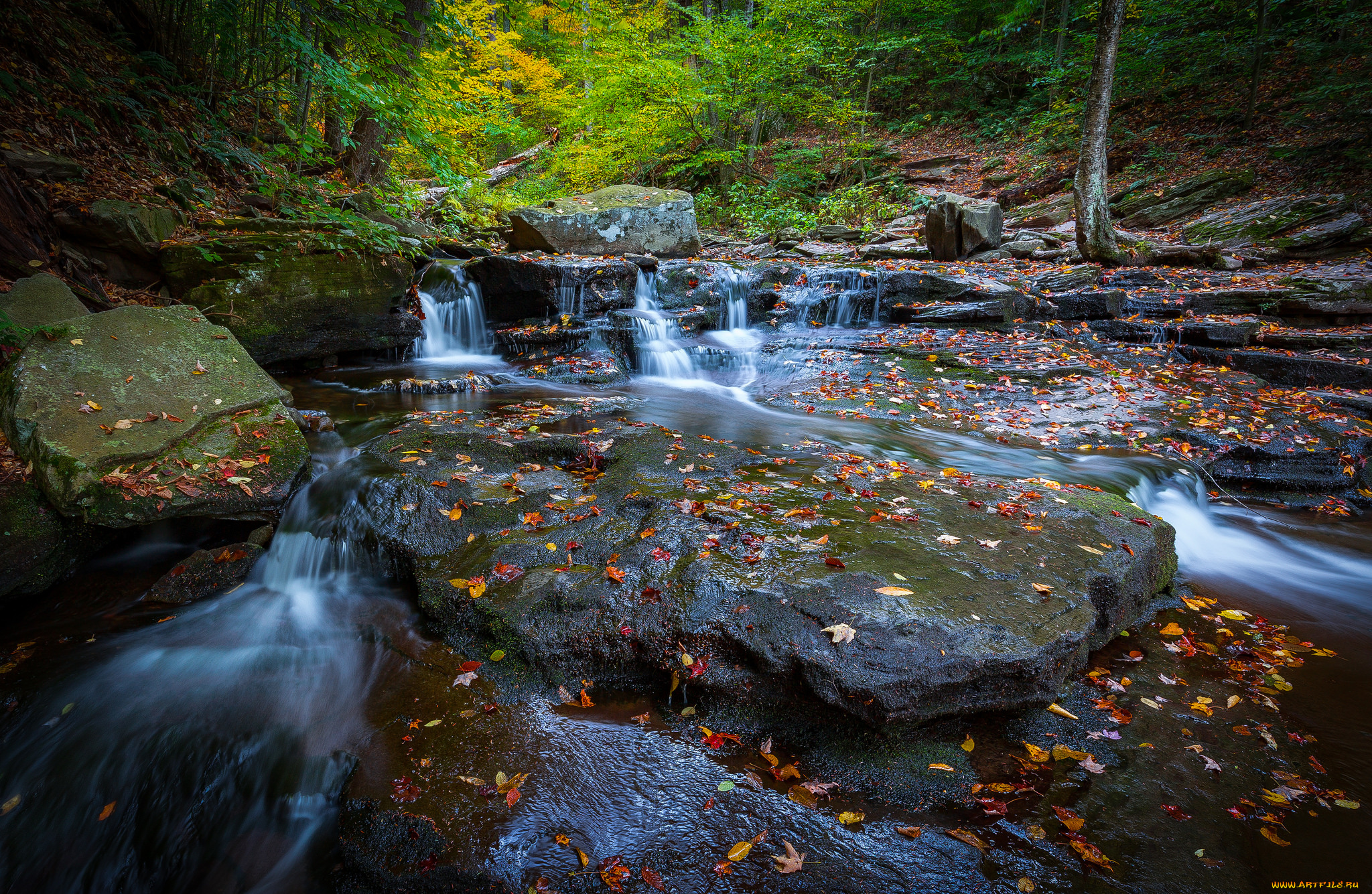 природа, водопады, водопад, река, лес