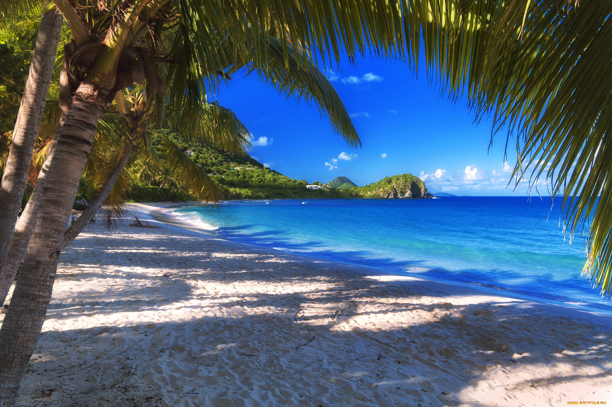 природа, тропики, берег, океан