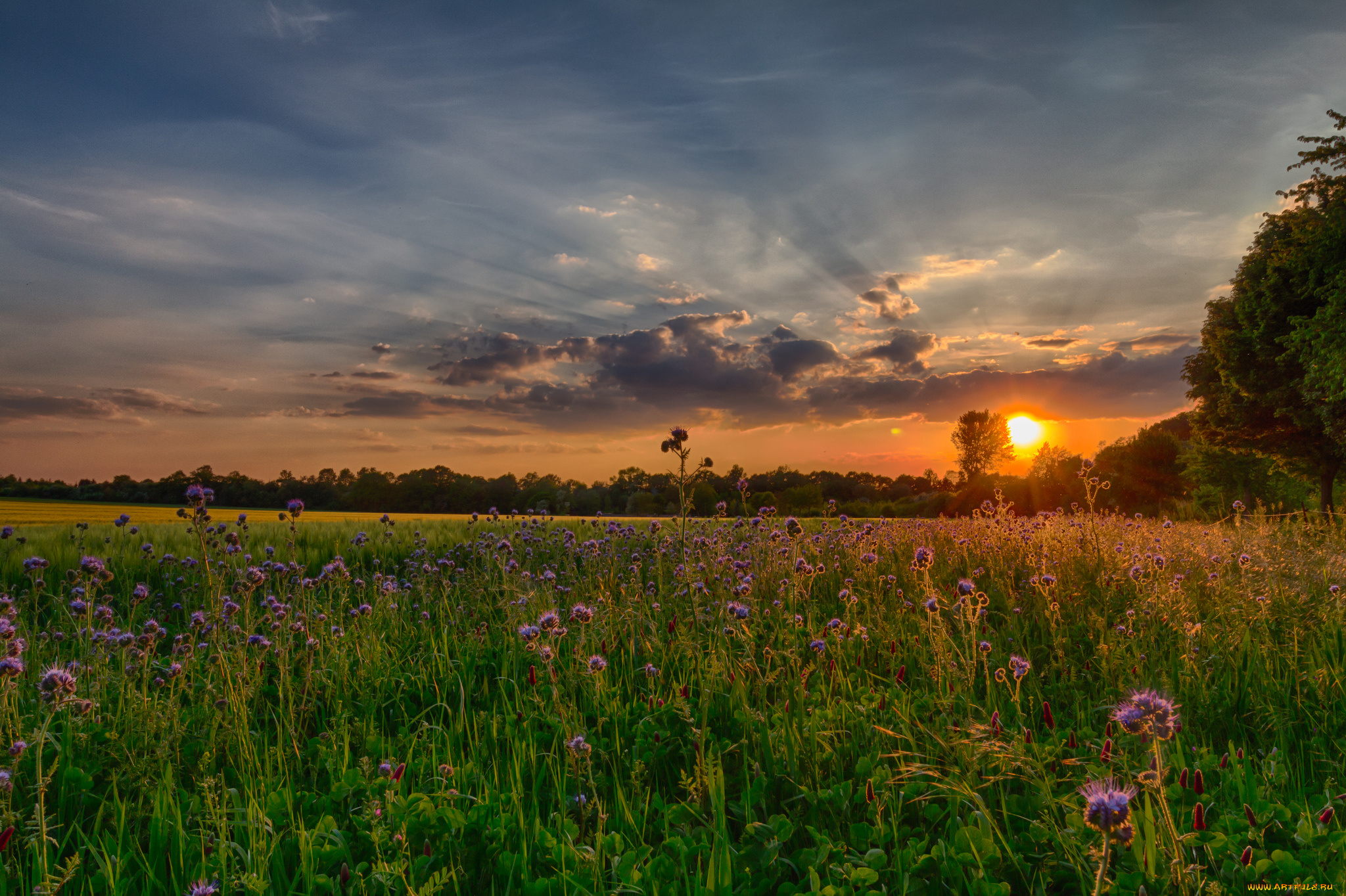 природа, восходы, закаты, рассвет