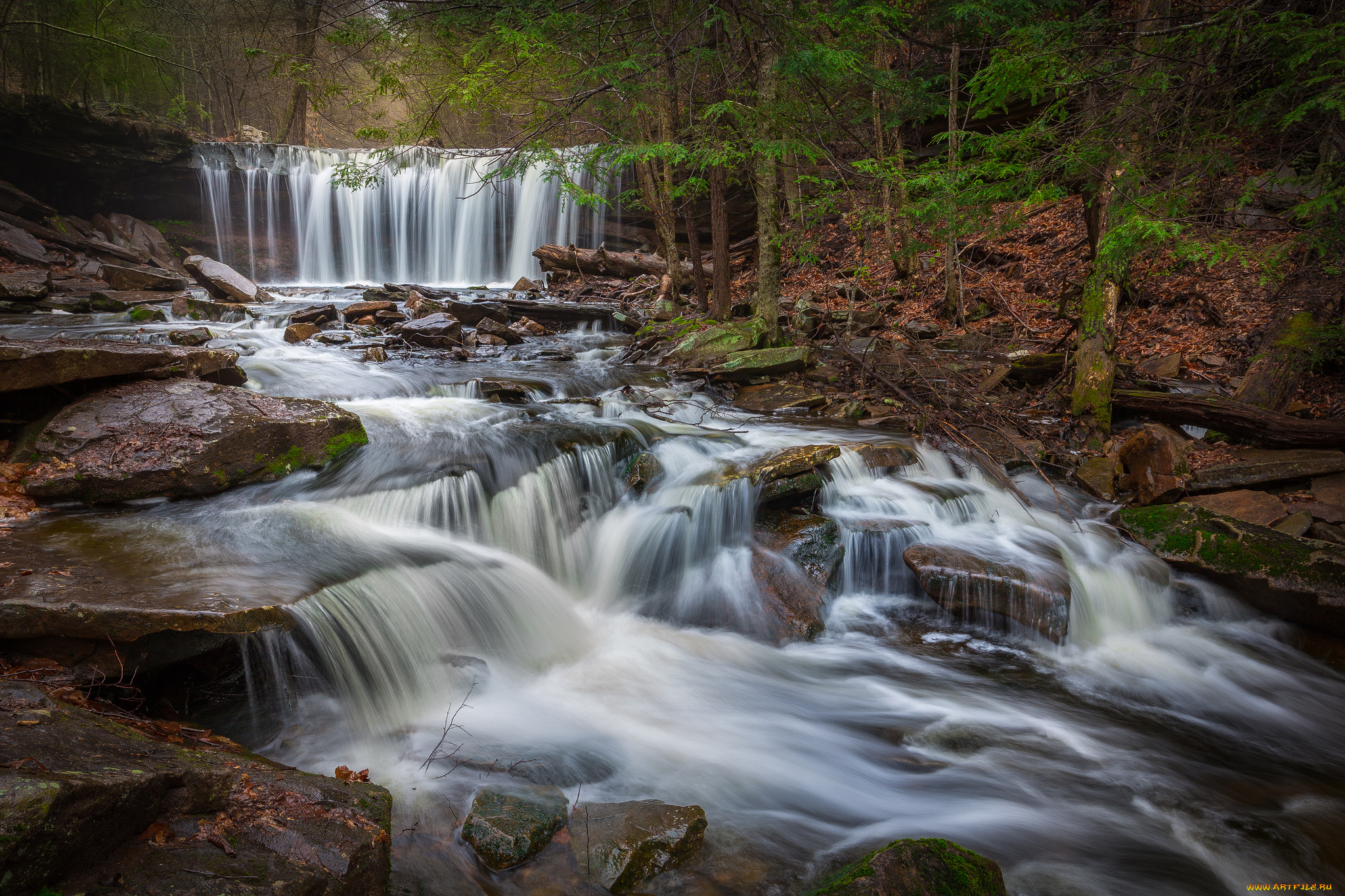 природа, водопады, водопад, река, лес