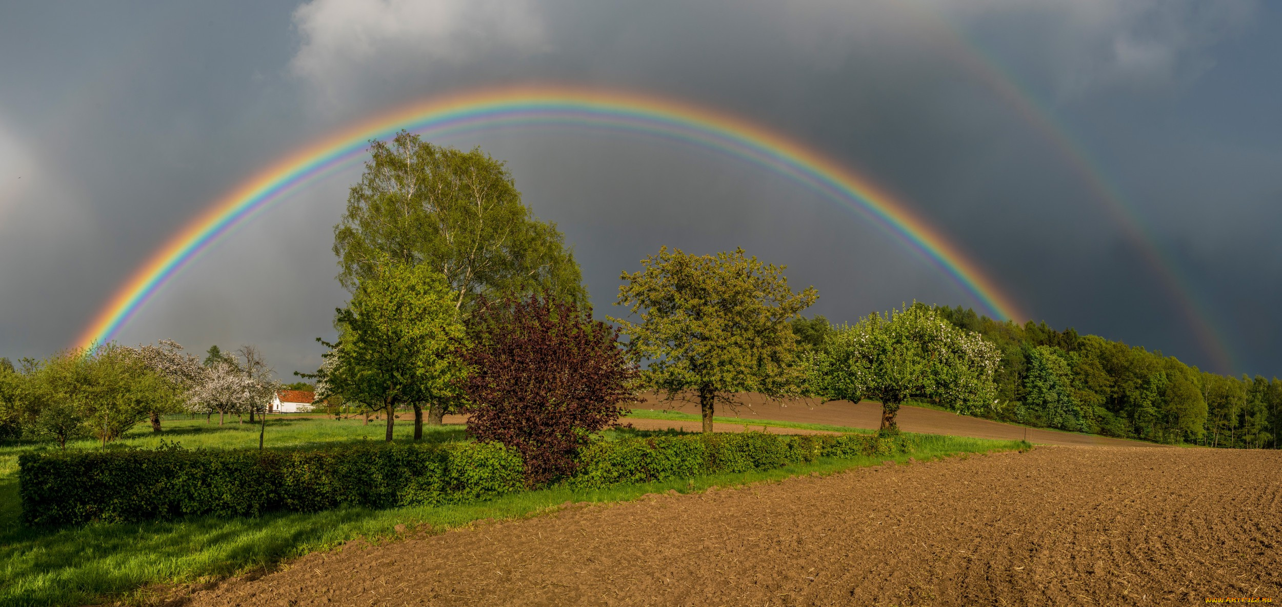 природа, радуга, коромысло
