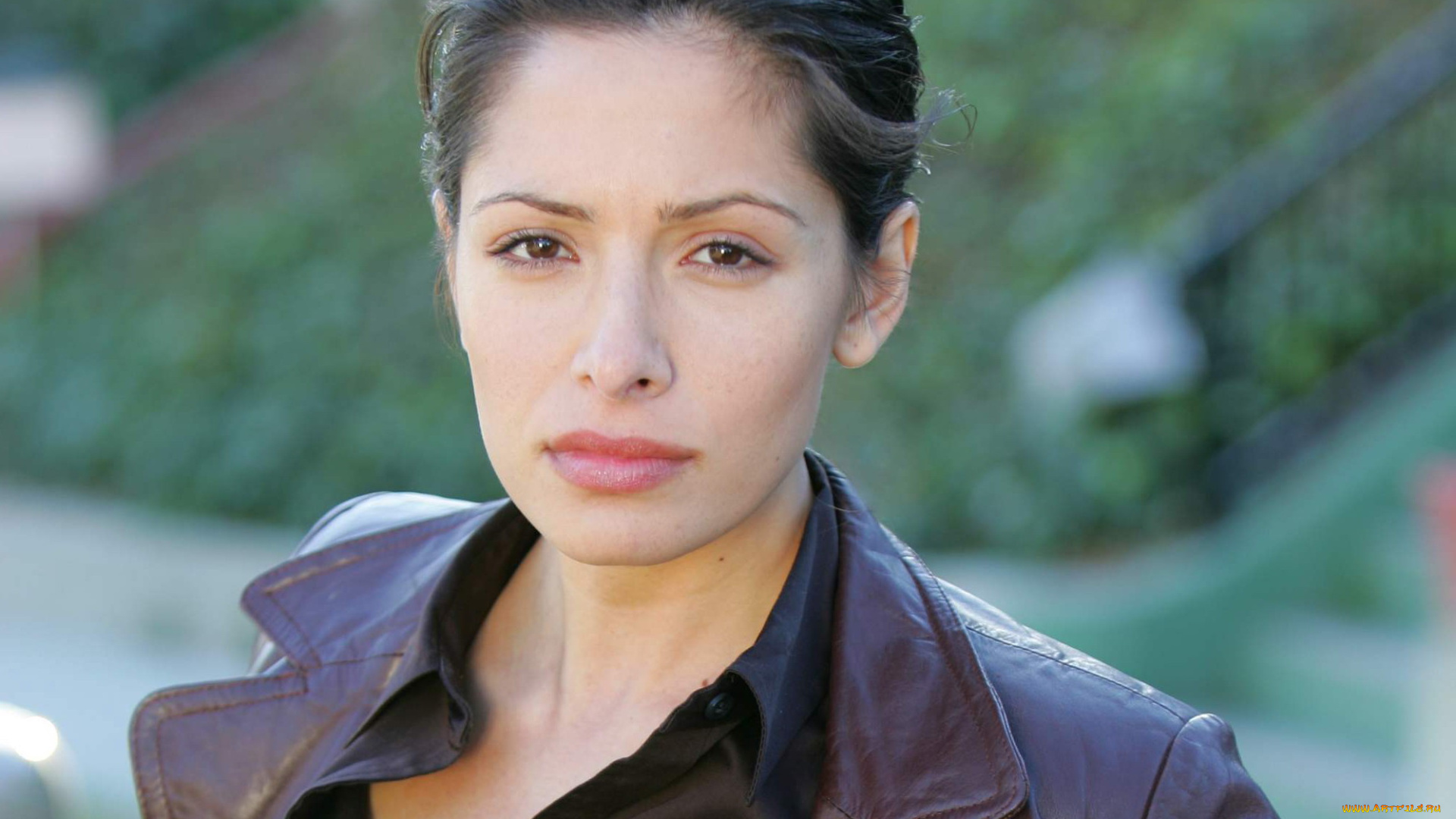 девушки, sarah, shahi, лицо, куртка, взгляд