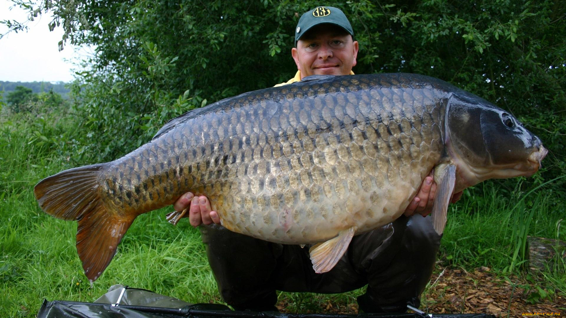 разное, рыбалка, , рыбаки, , улов, , снасти, рыба, карп, трофей, рыбак