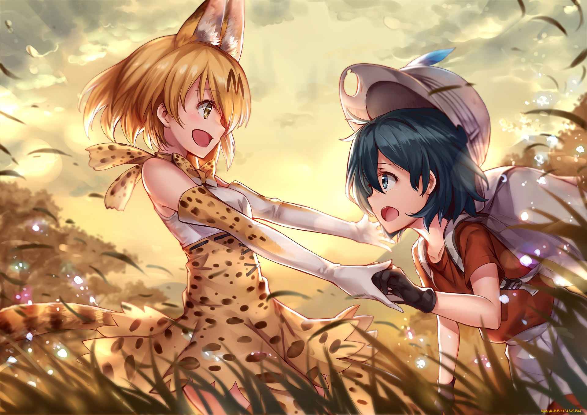 аниме, kemono, friends, девушки, фон, взгляд