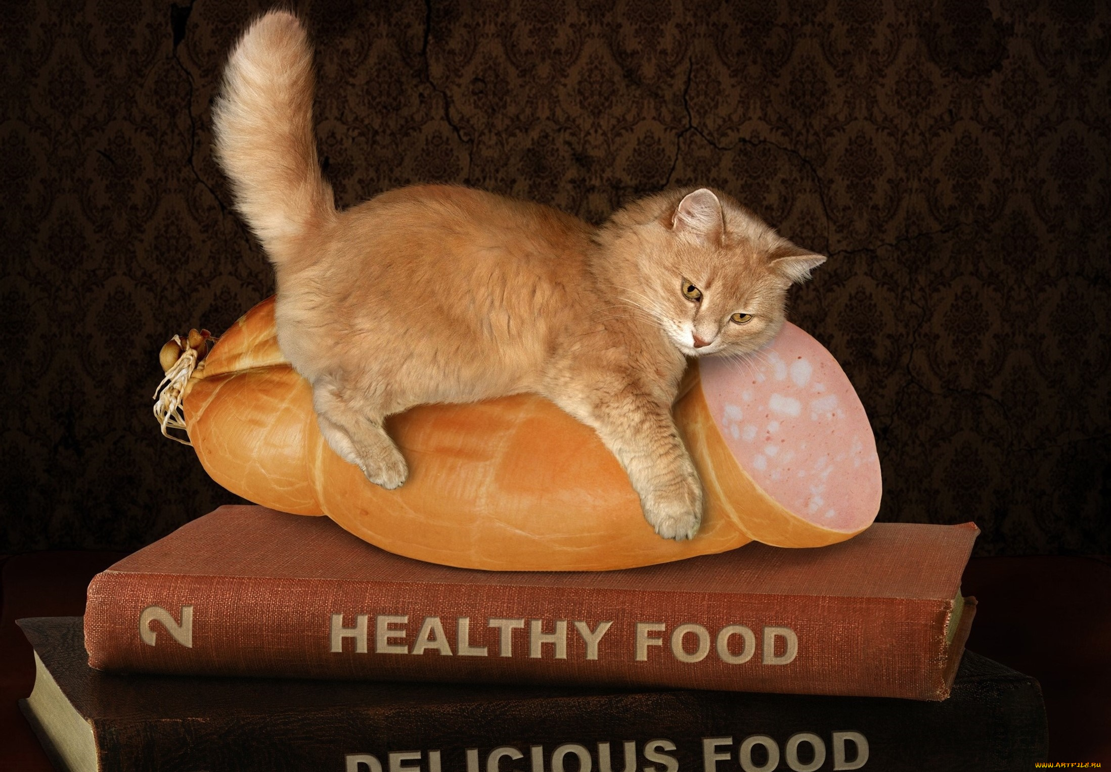 юмор, и, приколы, рыжий, ситуация, колбаса, котёнок, книги