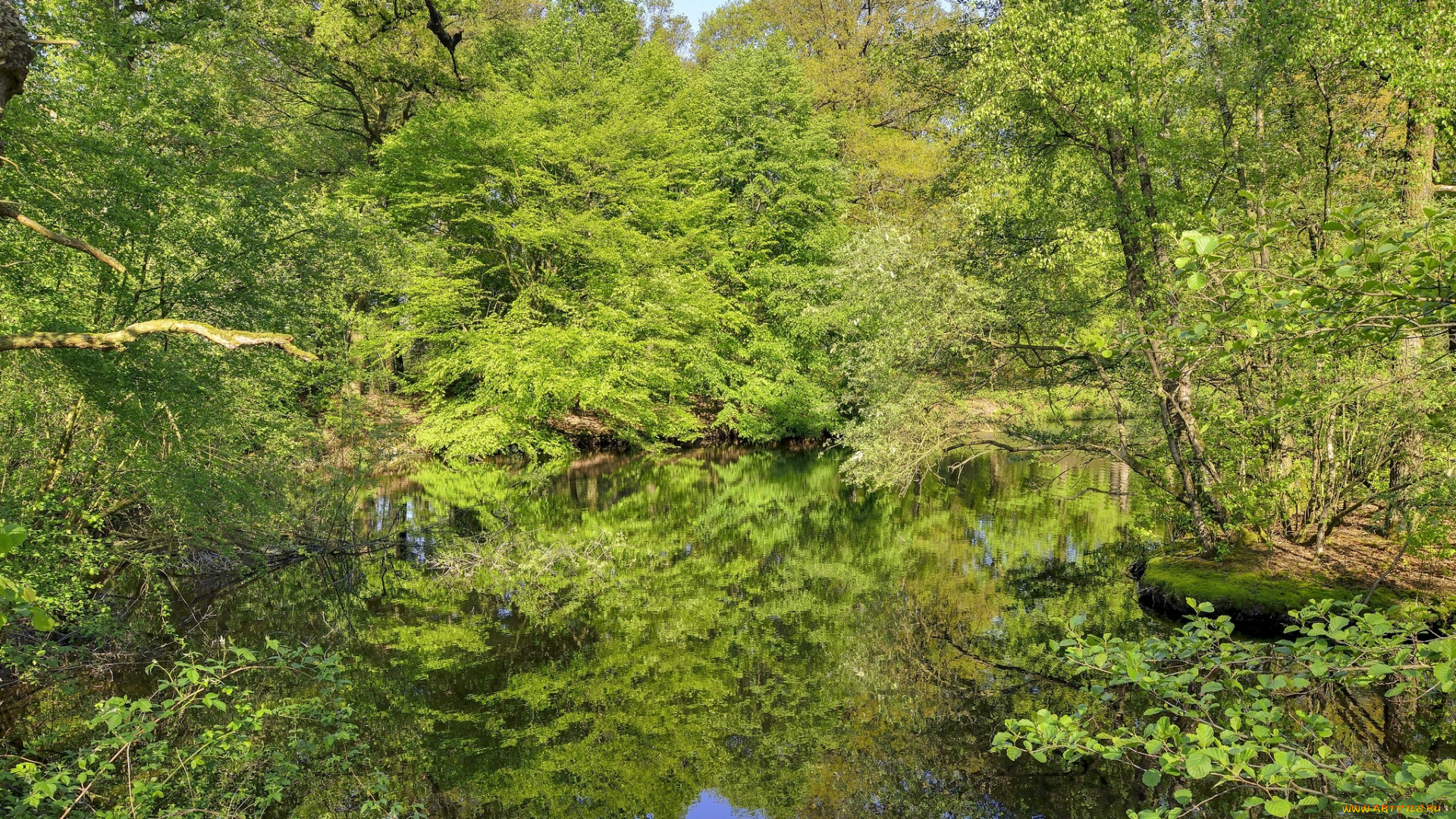 природа, реки, озера, простор