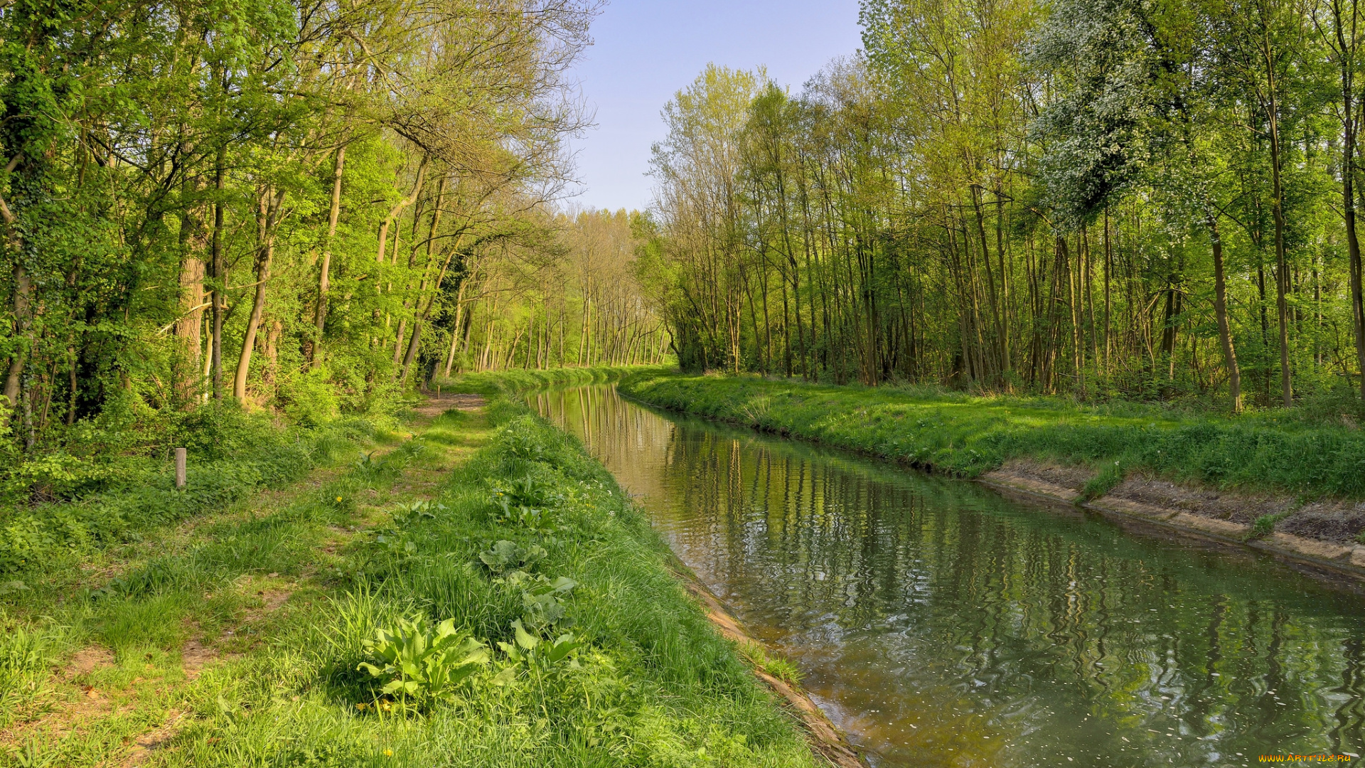 природа, реки, озера, простор