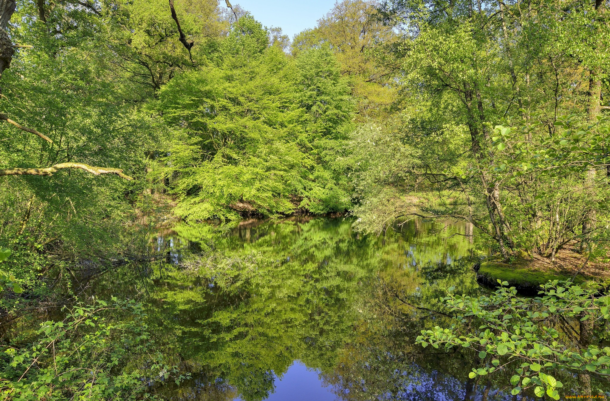 природа, реки, озера, простор