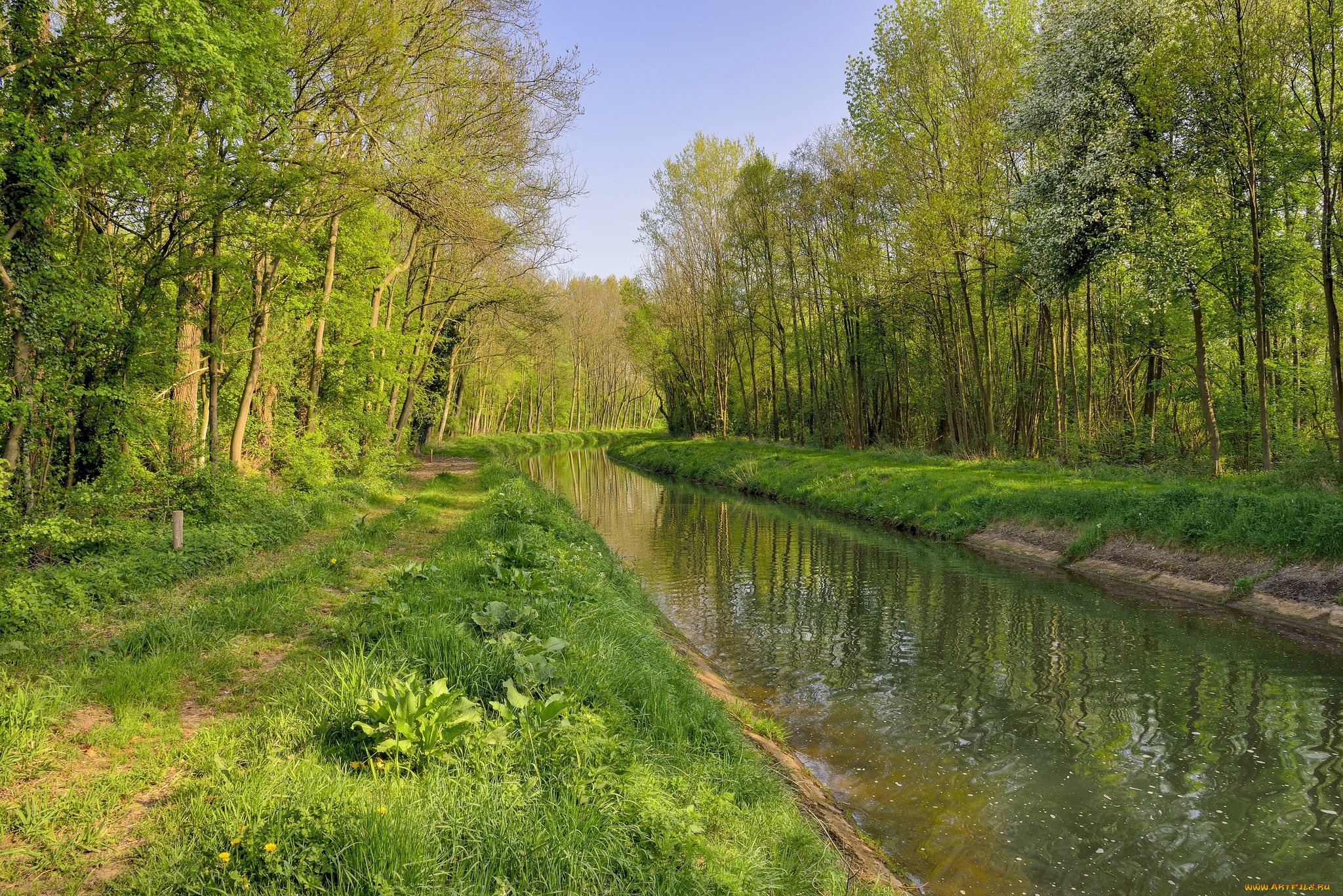 природа, реки, озера, простор