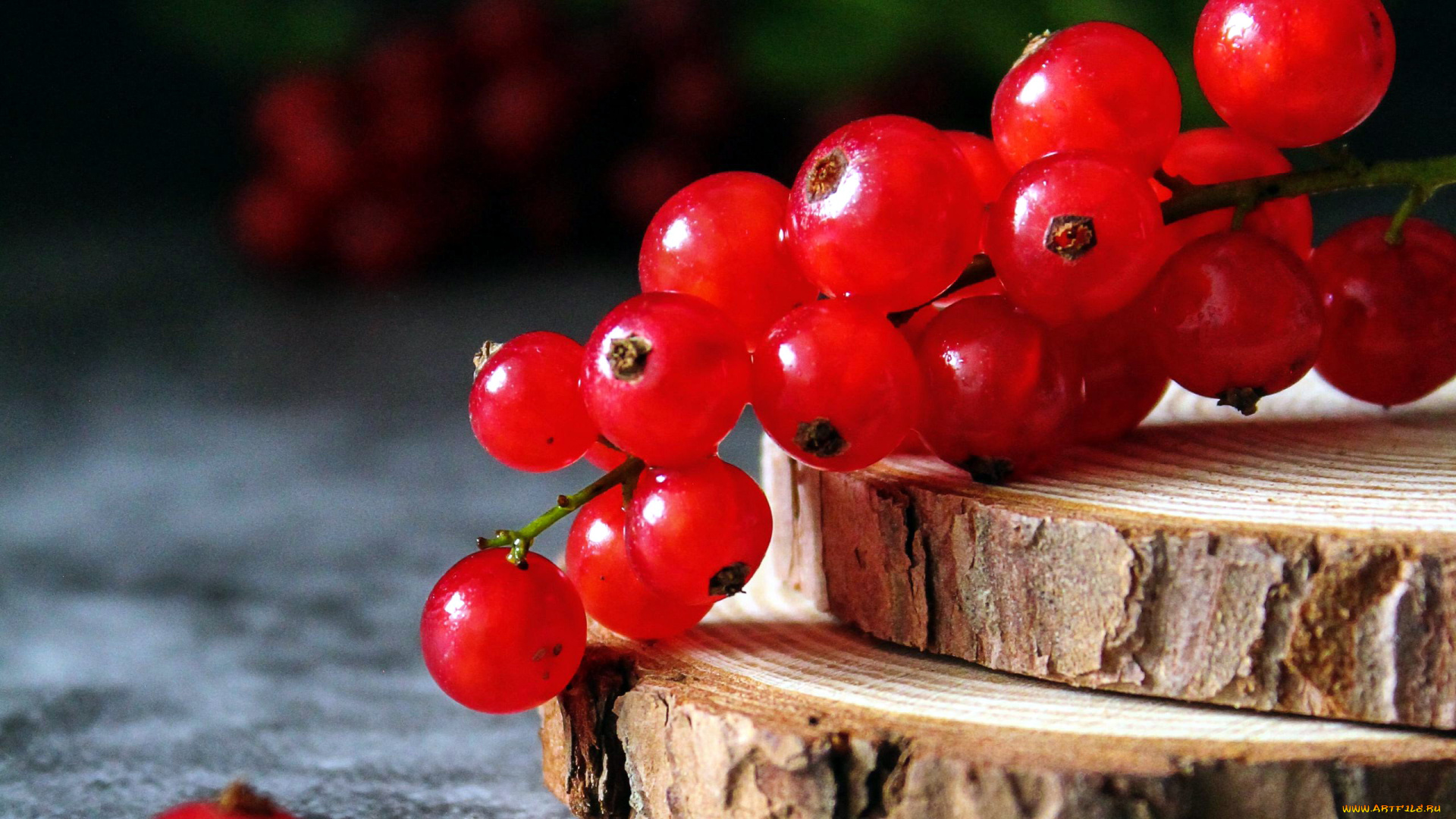 еда, смородина, ягоды, красная