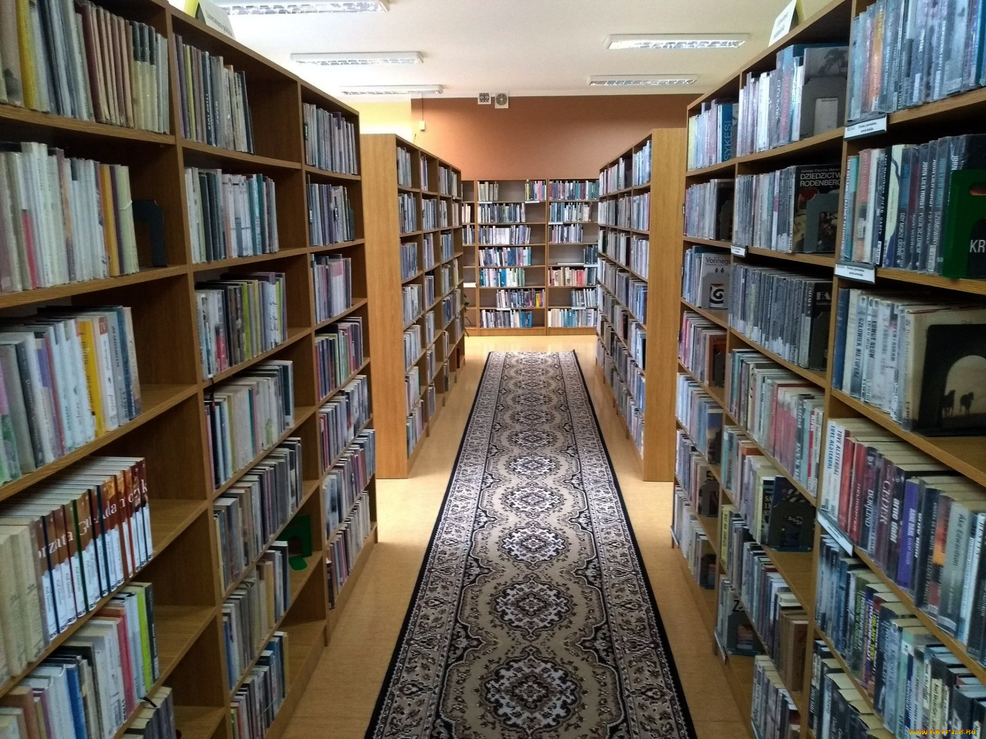 интерьер, кабинет, , библиотека, , офис, библиотека, стеллажи