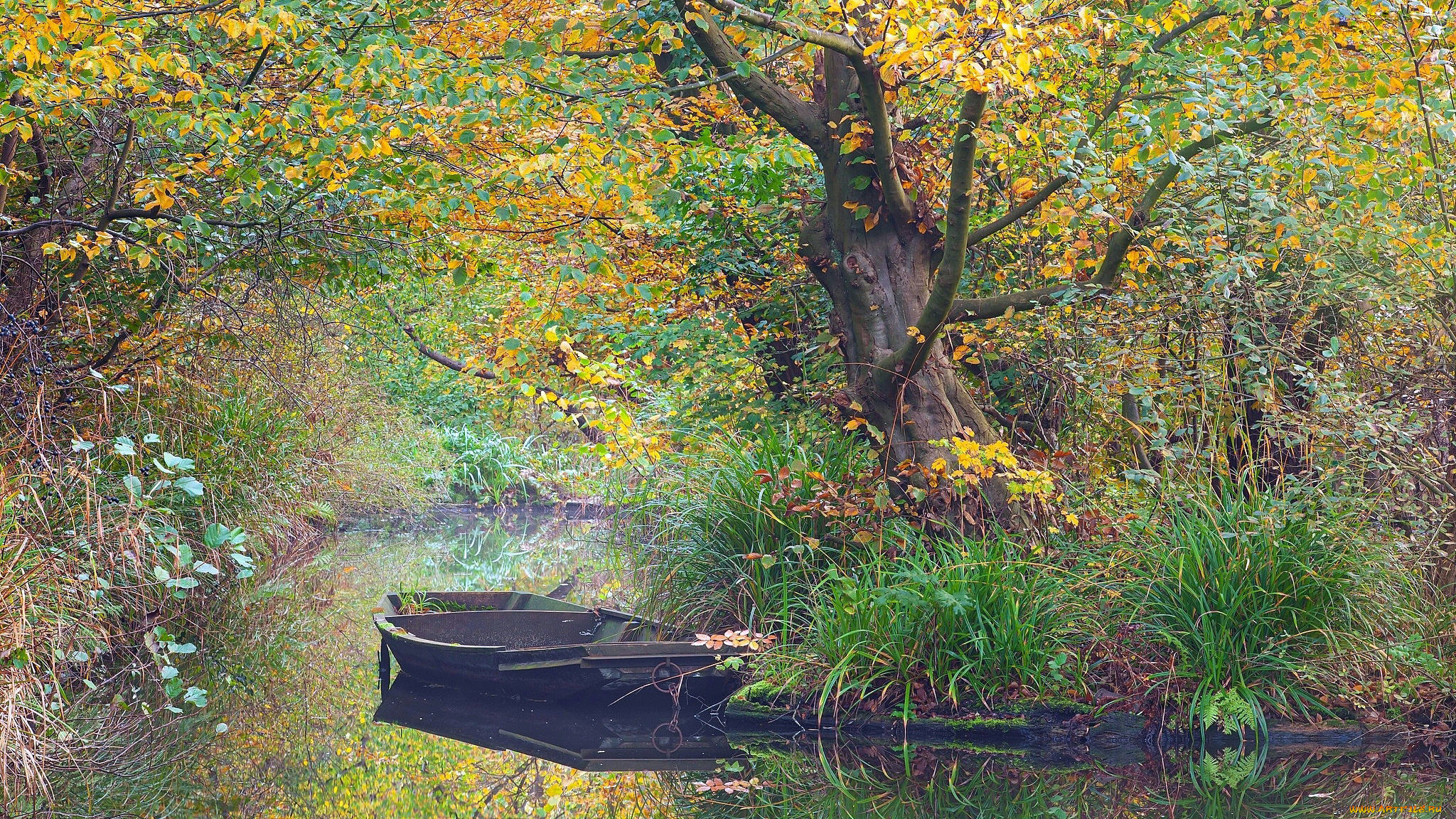 корабли, лодки, , шлюпки, осень, заводь, лодка