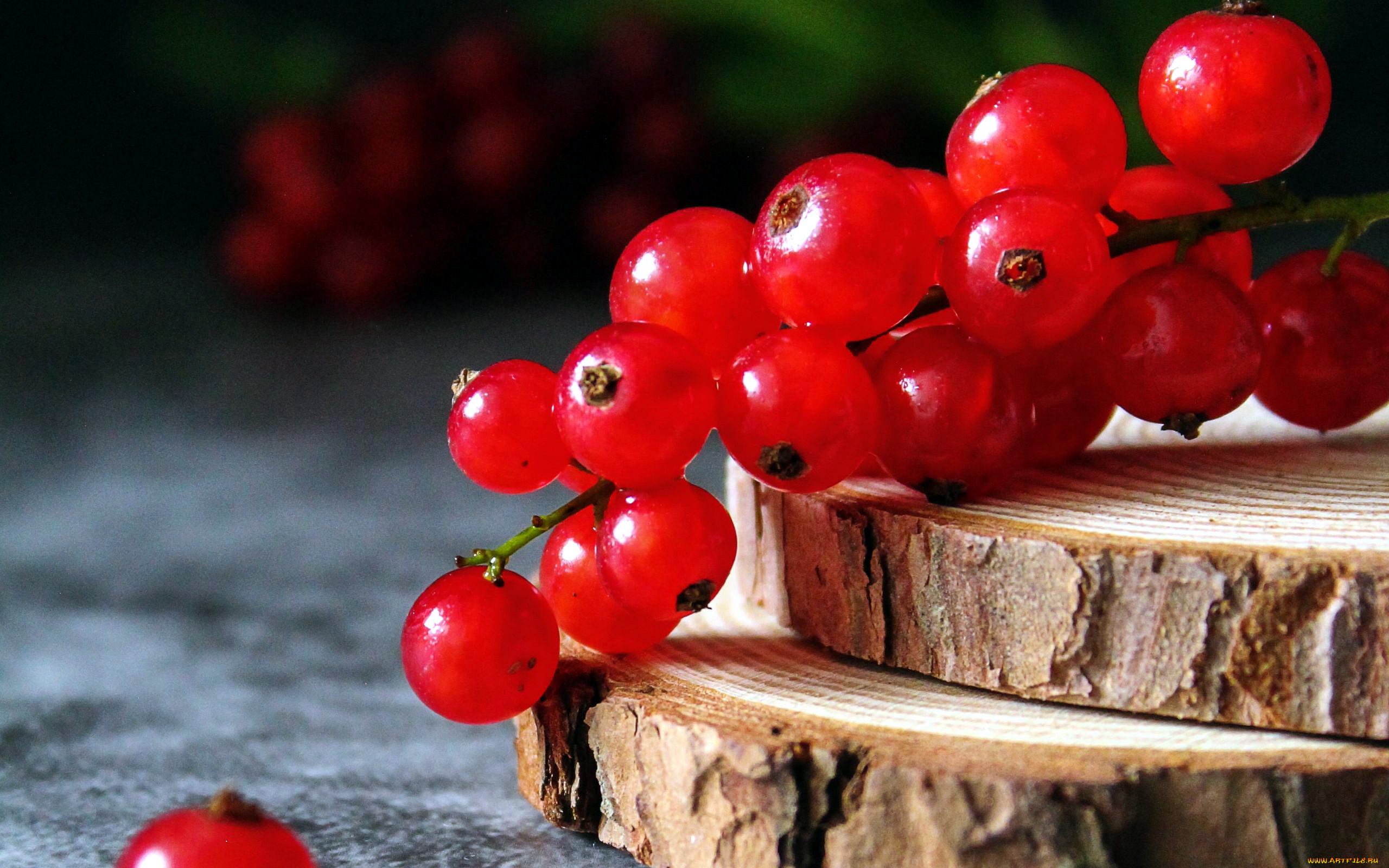 еда, смородина, ягоды, красная