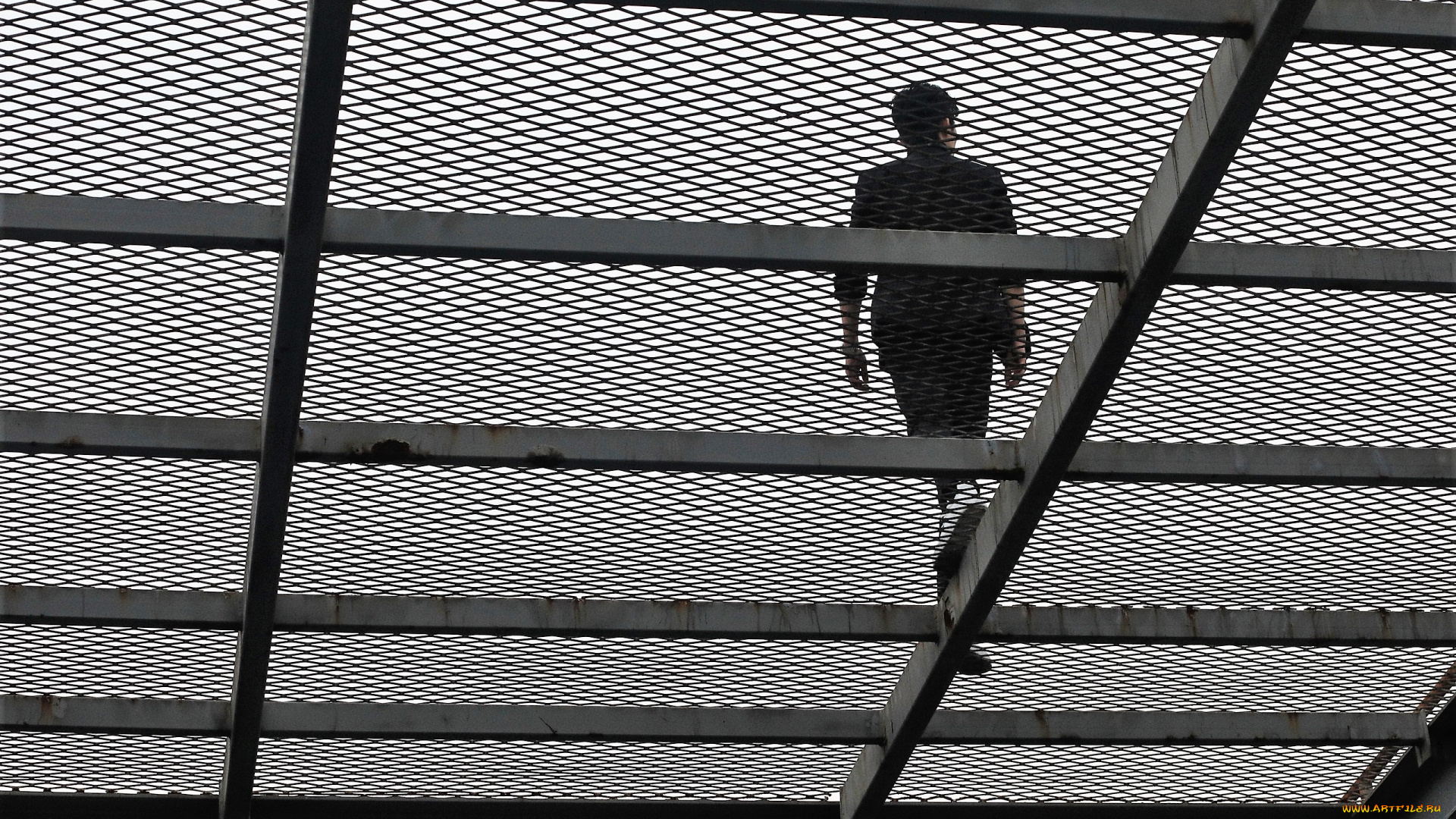 мужчины, xiao, zhan, актер, решетка