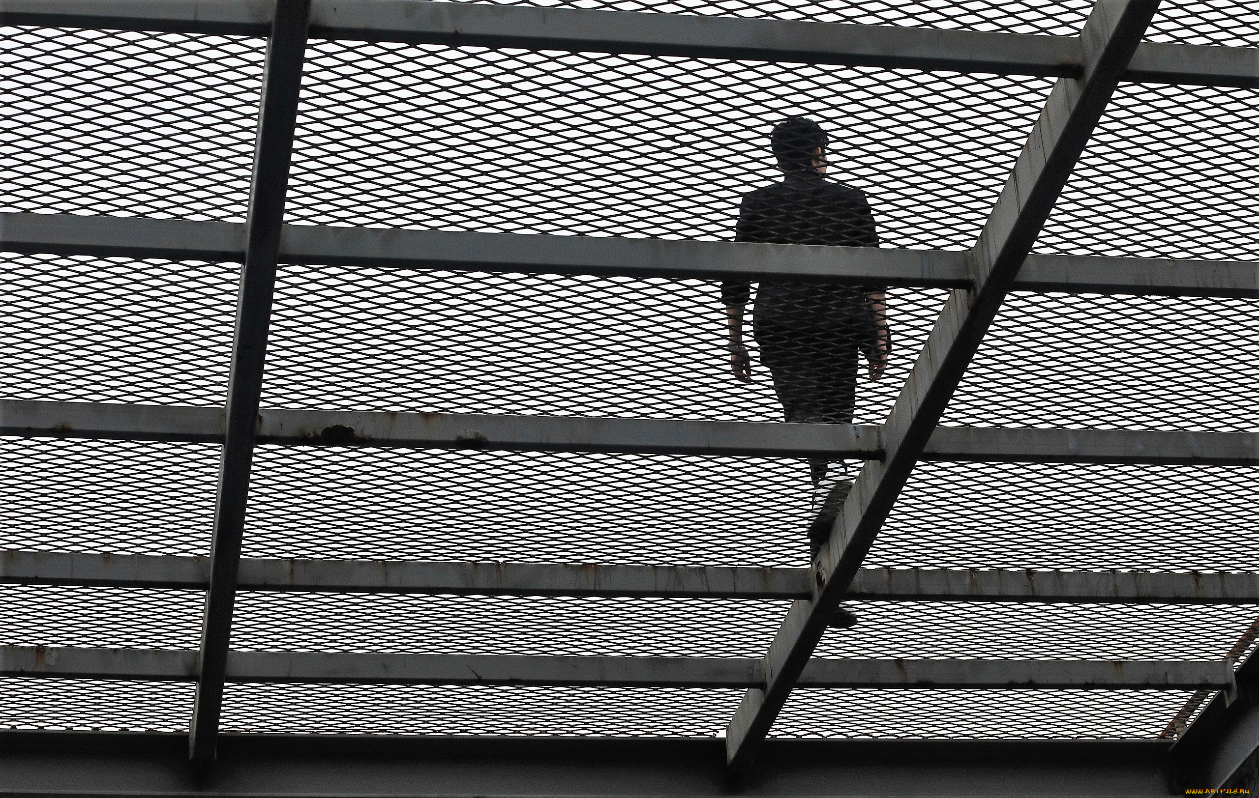 мужчины, xiao, zhan, актер, решетка