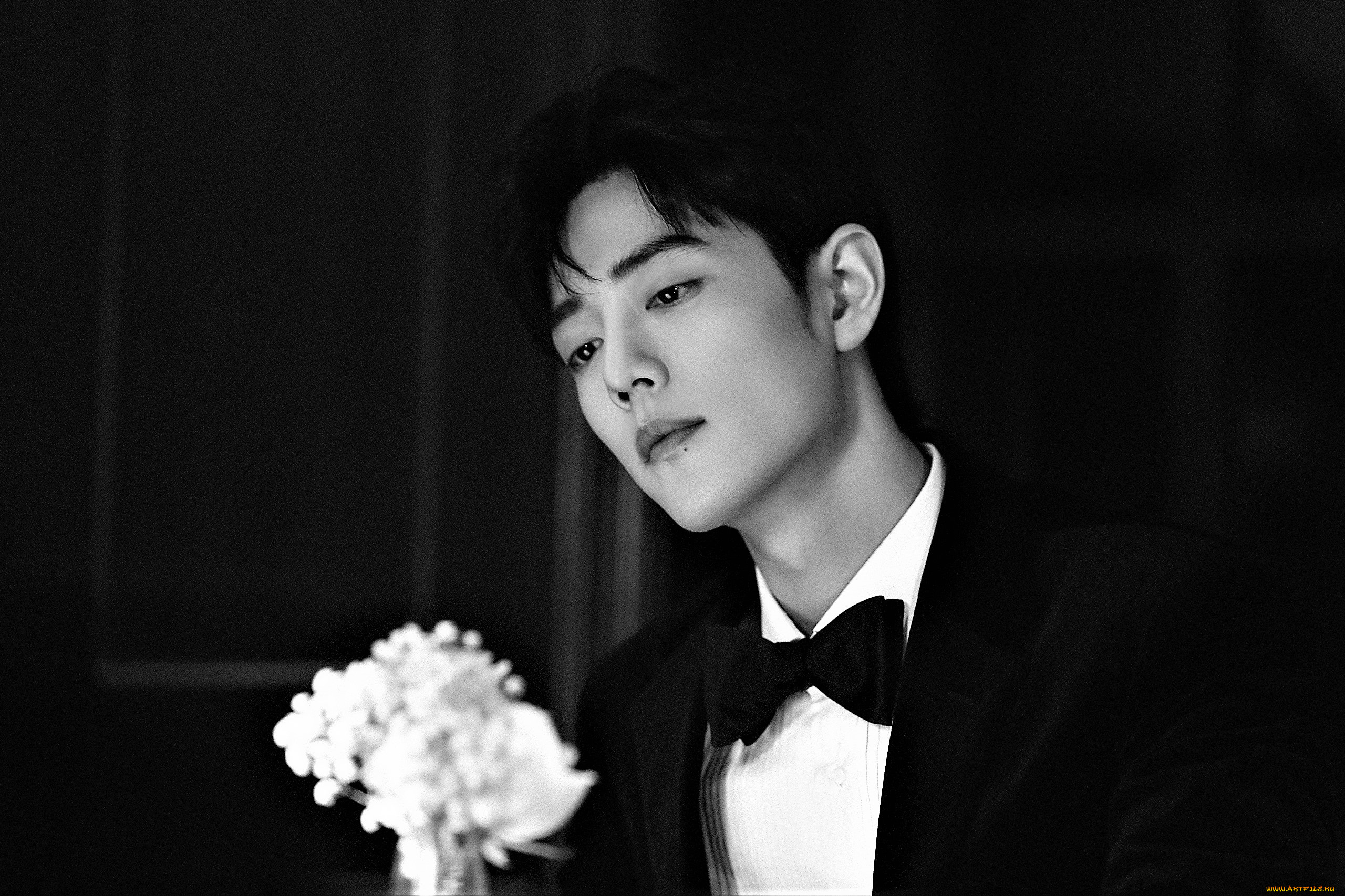 мужчины, xiao, zhan, актер, костюм, цветы