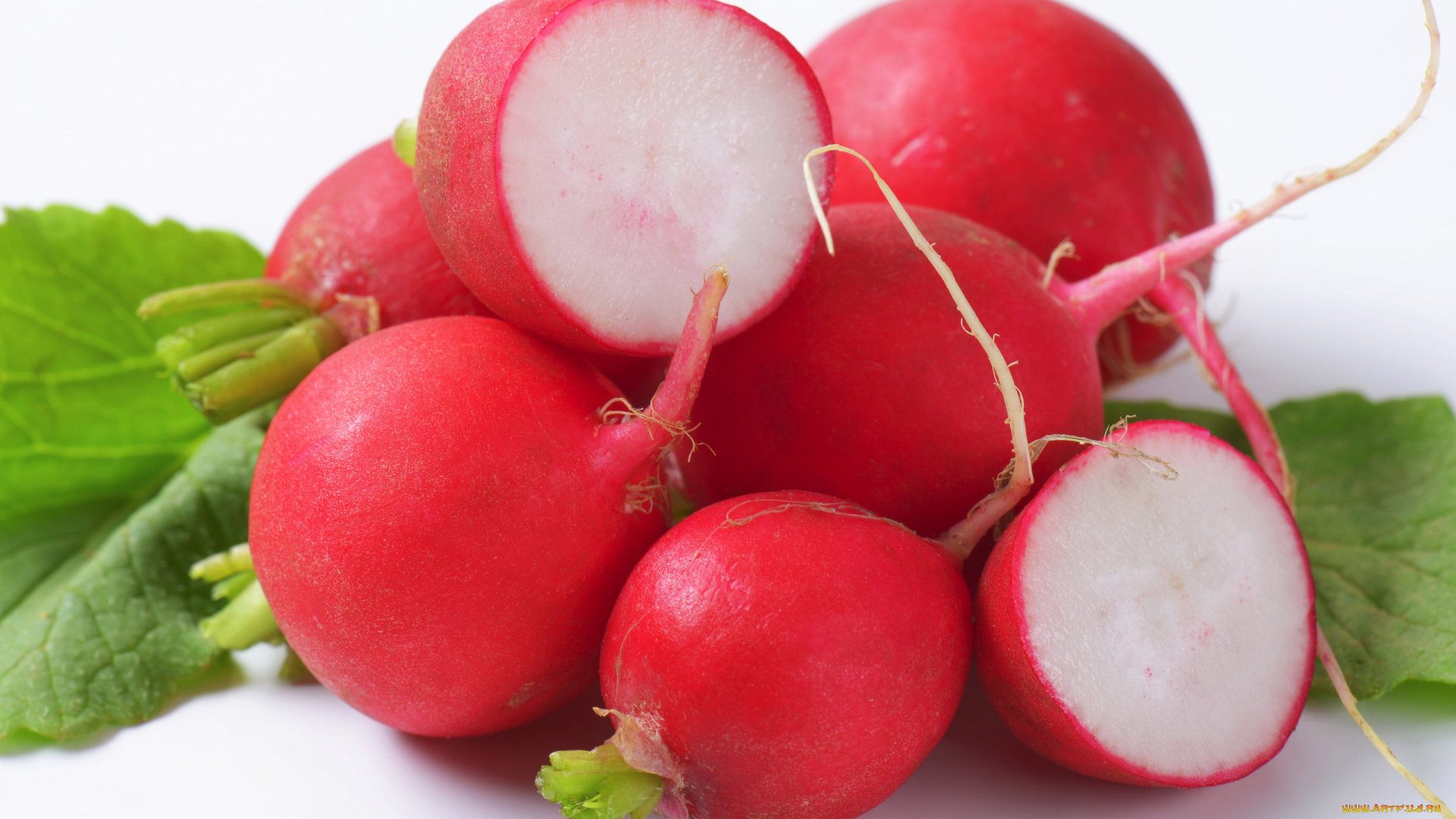 еда, редис, , репа, , редька, красный, макро