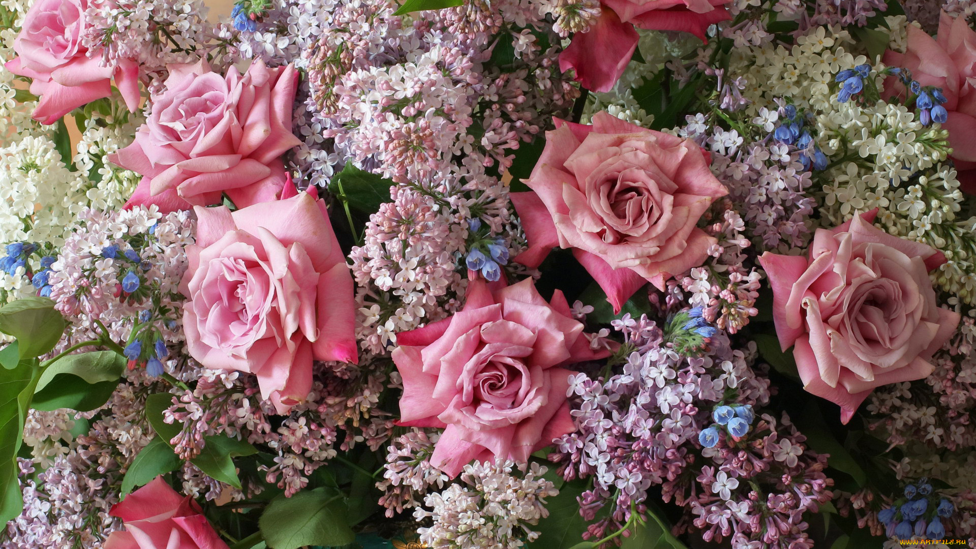 цветы, разные, вместе, розы, сирень