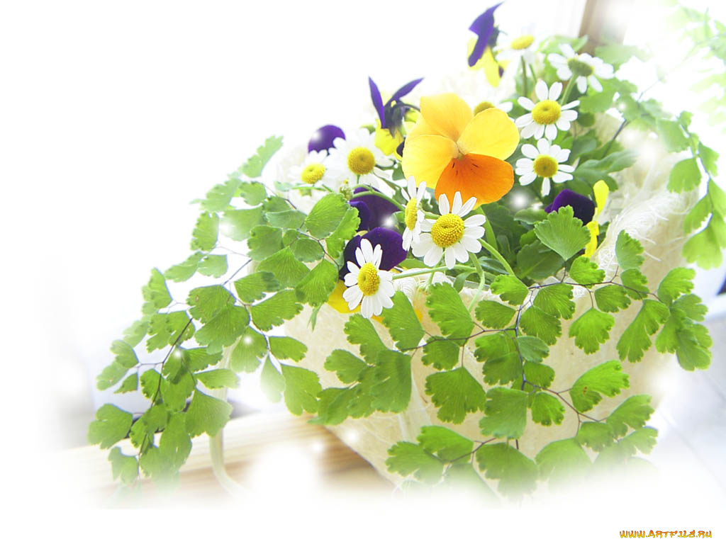 цветы, букеты, композиции