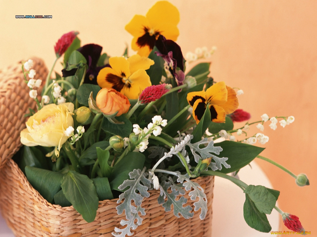 цветы, букеты, композиции