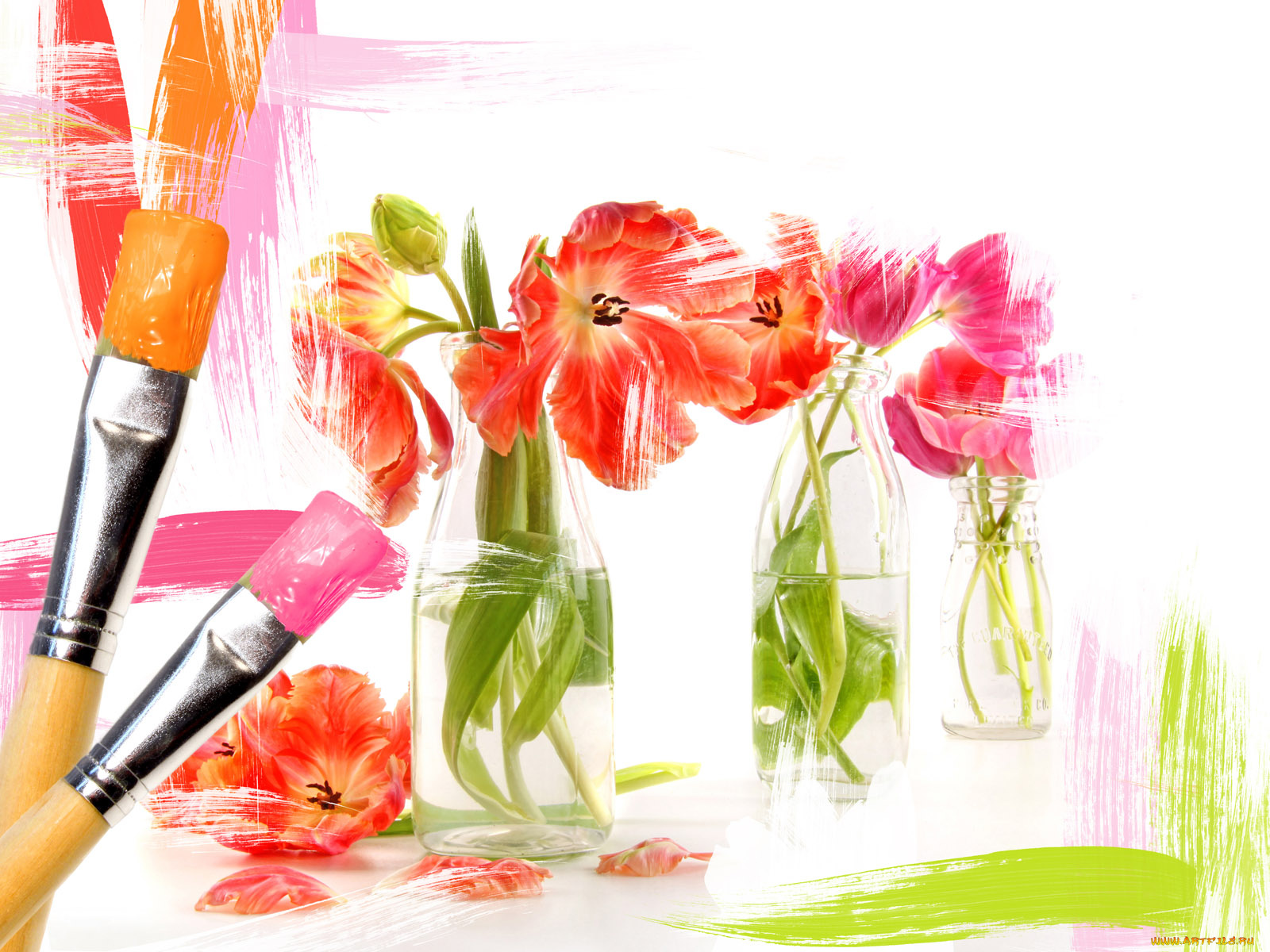 разное, компьютерный, дизайн