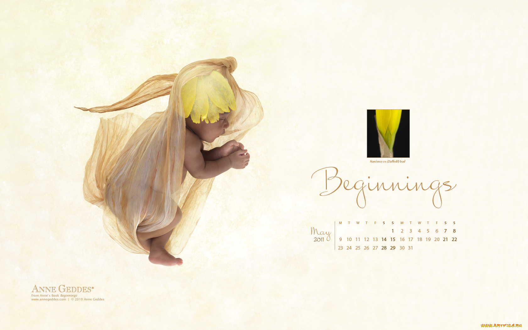 календари, дети