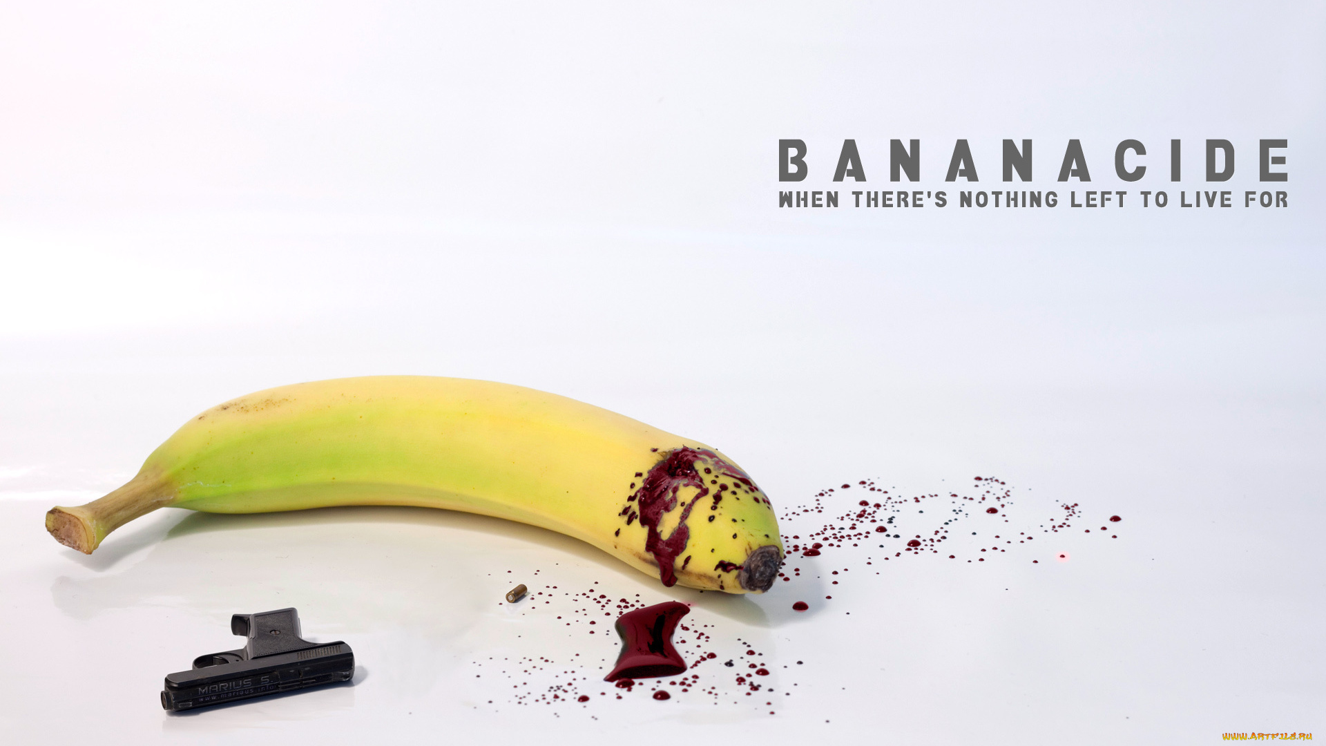 юмор, приколы