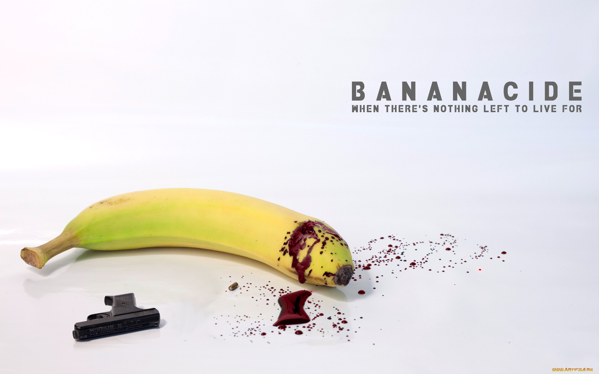 юмор, приколы