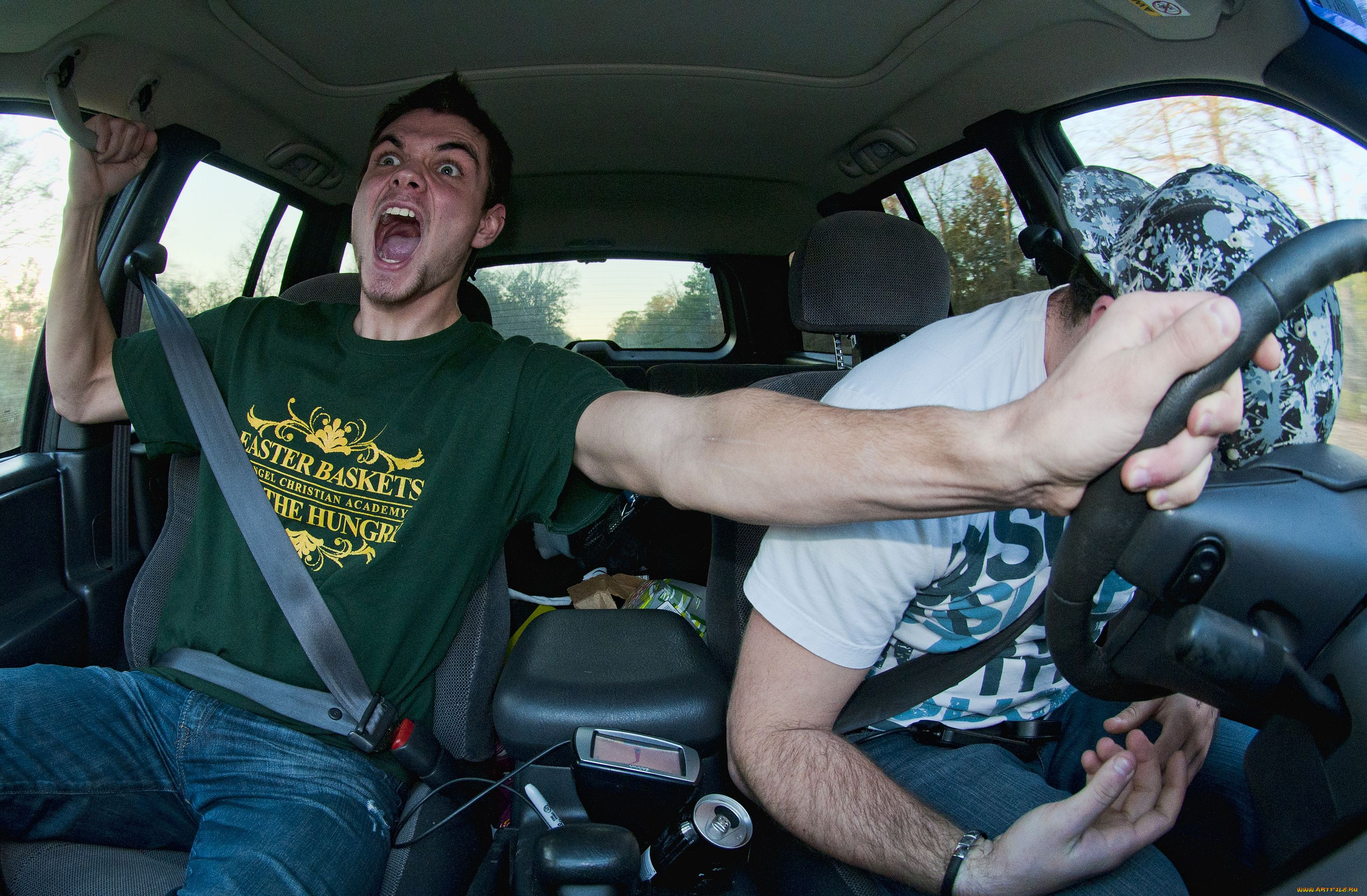 юмор, приколы