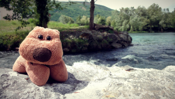 обоя разное, игрушки