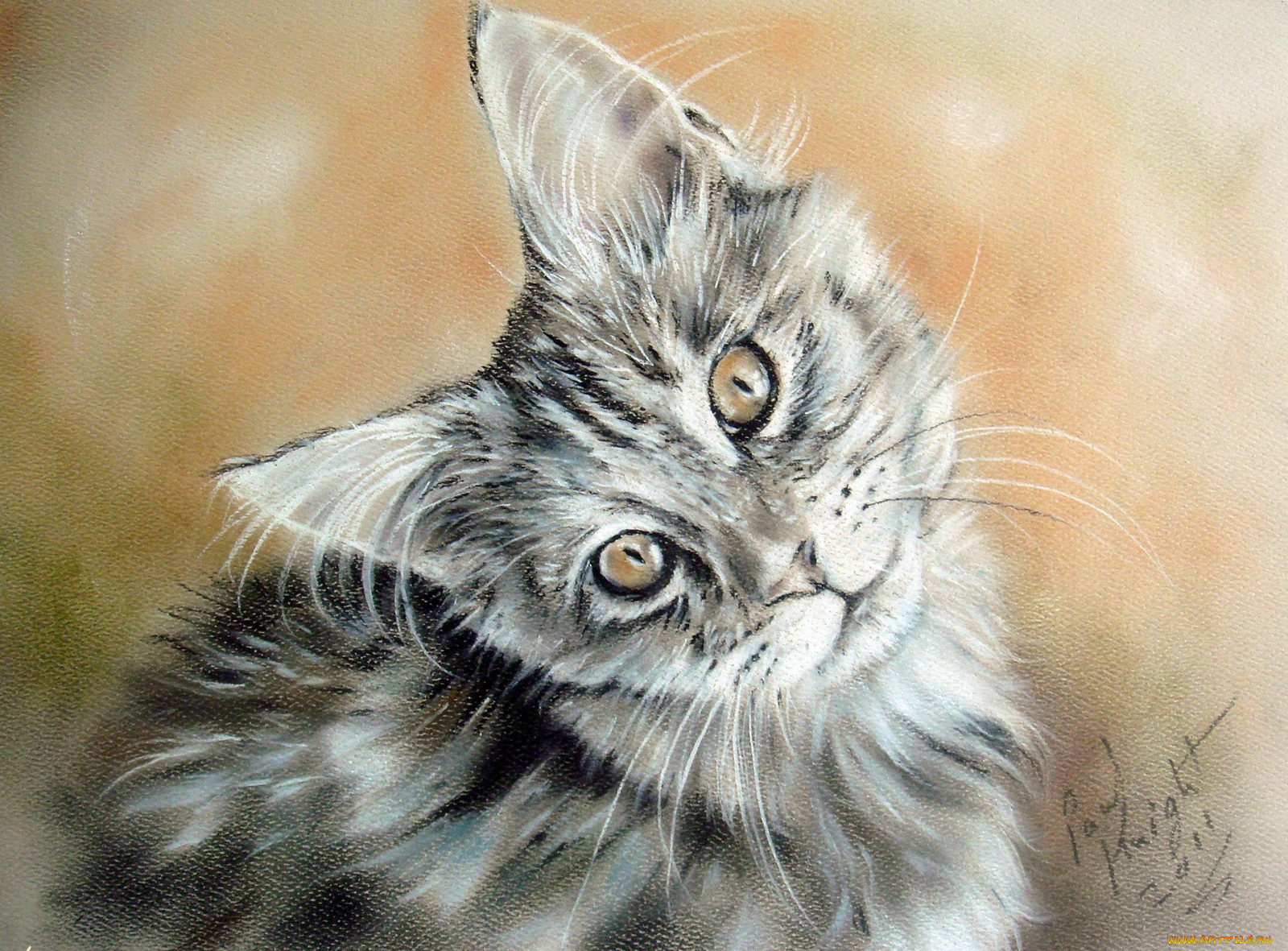 рисованные, животные, коты, paul, knight, серый, котёнок