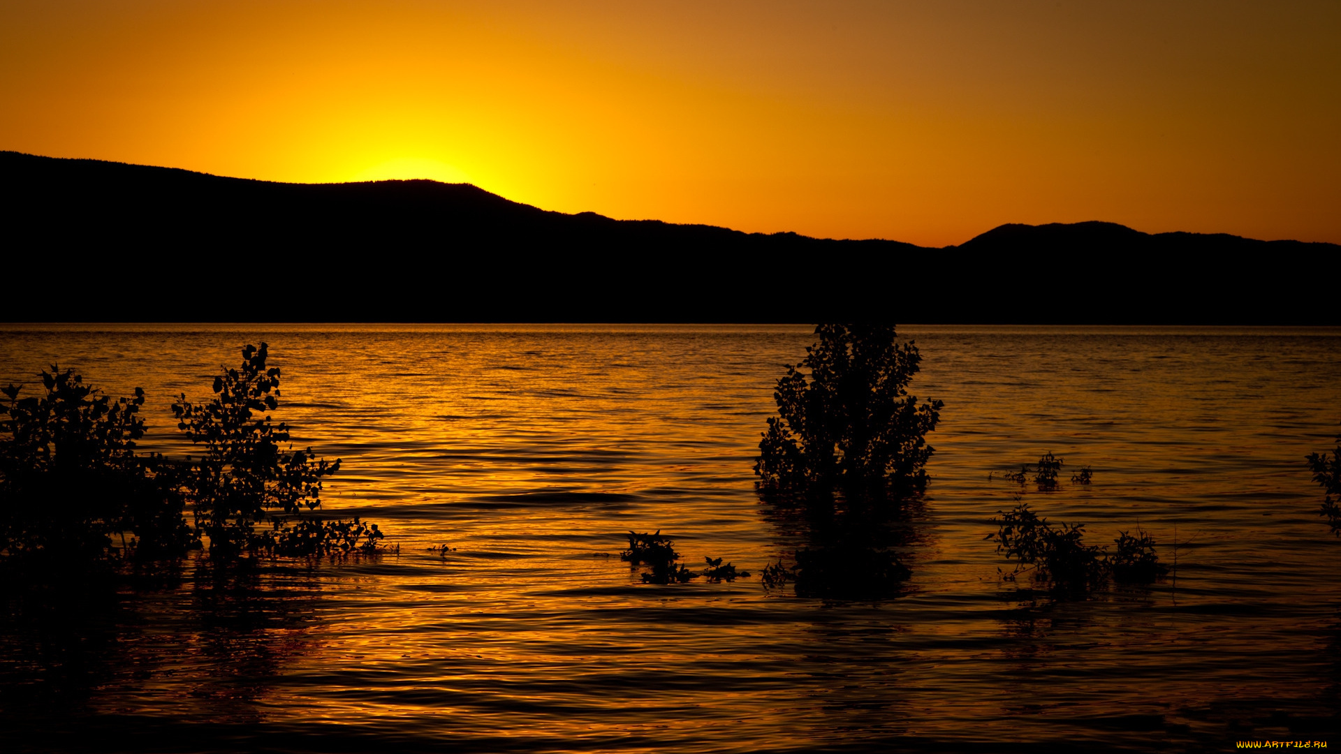 music, to, the, eyes, природа, восходы, закаты, ночь, рассвет, кусты, река