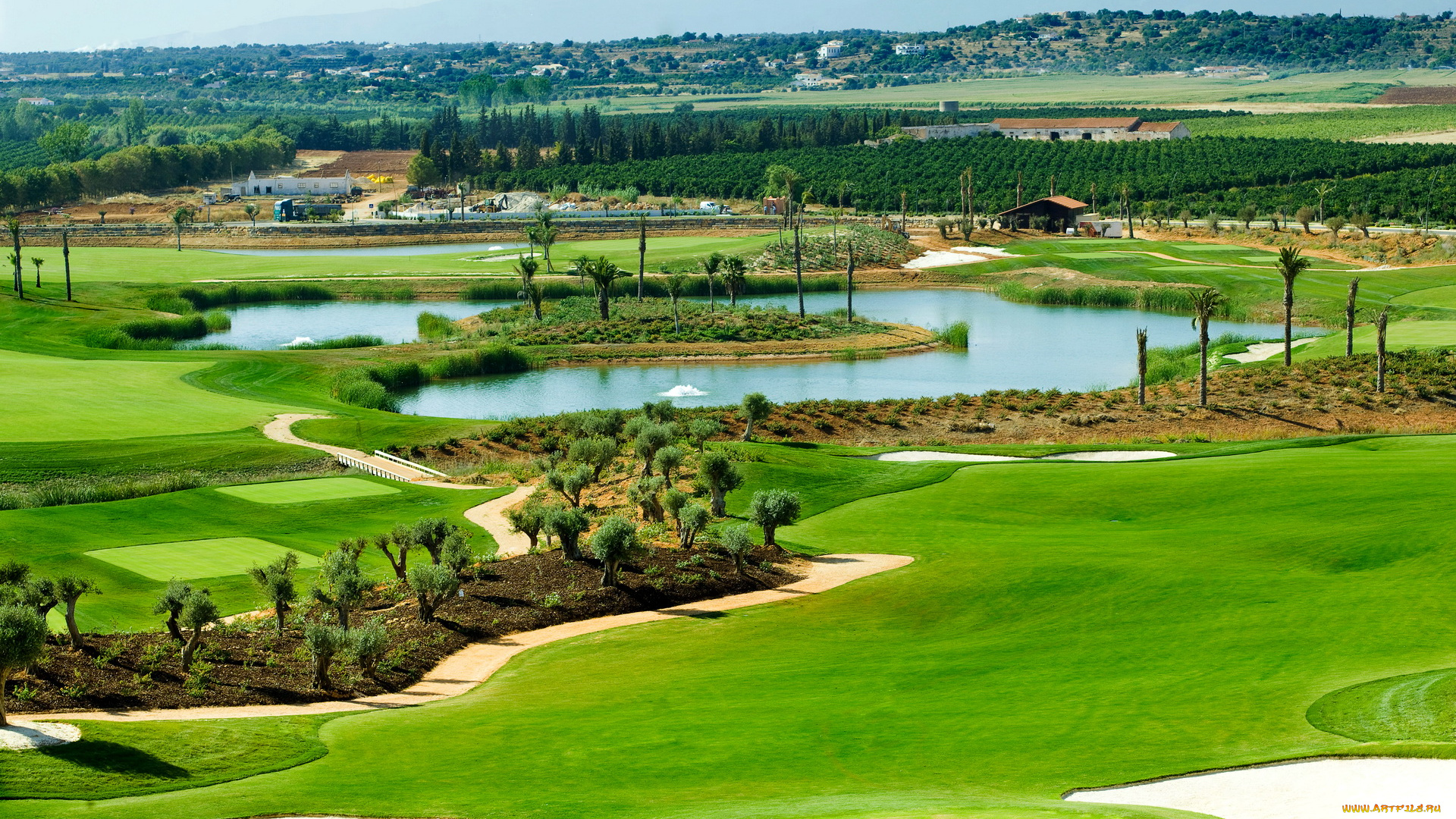 turks, and, caicos, islands, in, the, caribbean, природа, луга