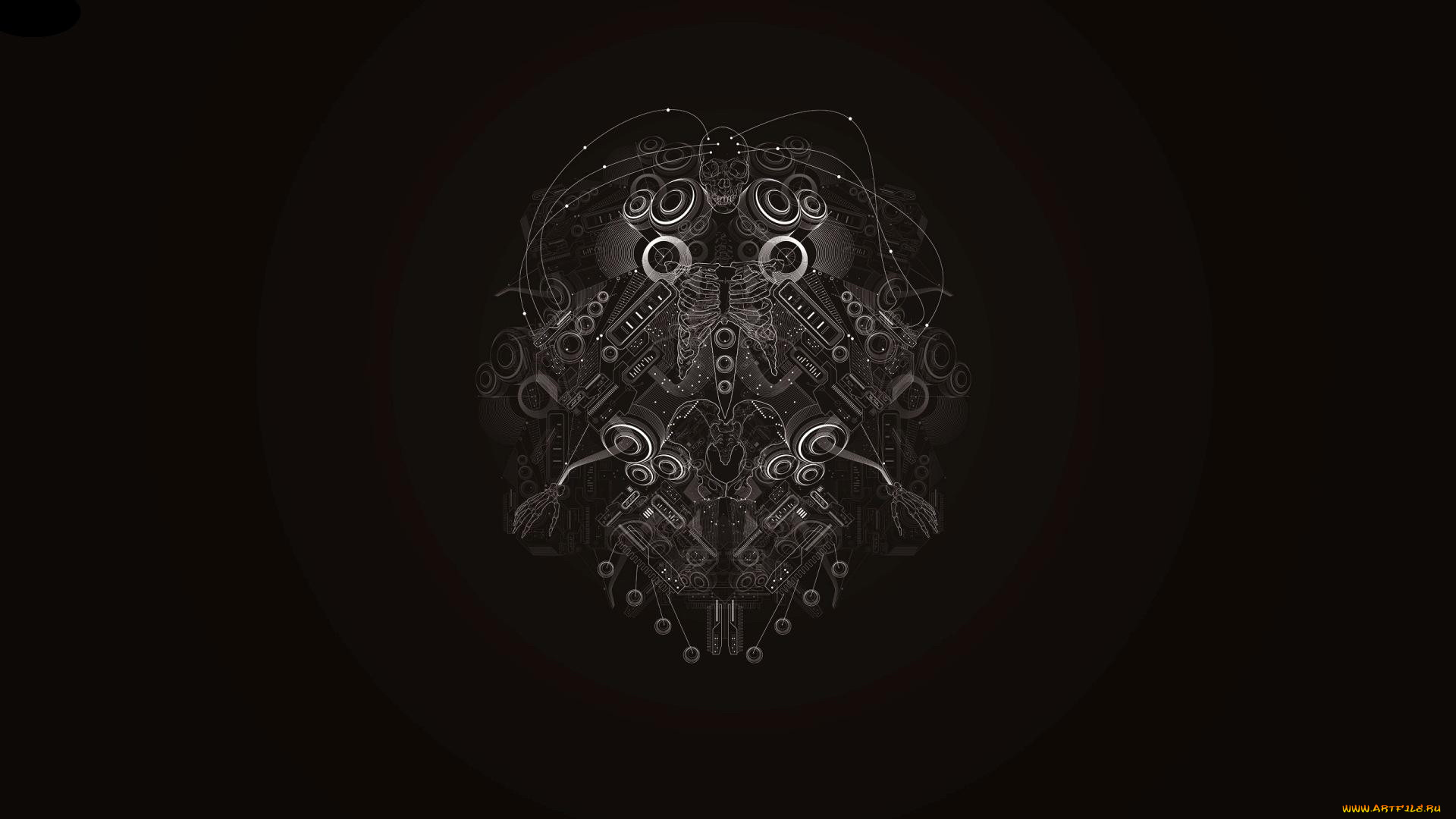 векторная, графика, круги, скилет