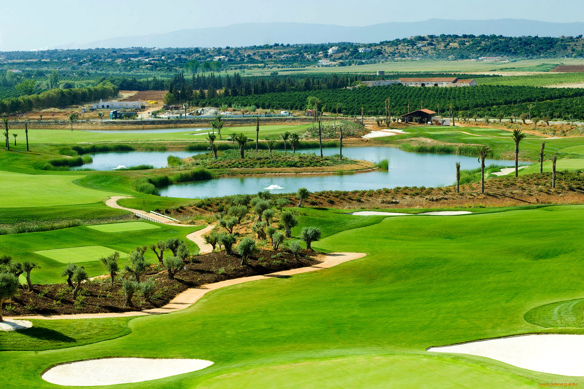 turks, and, caicos, islands, in, the, caribbean, природа, луга