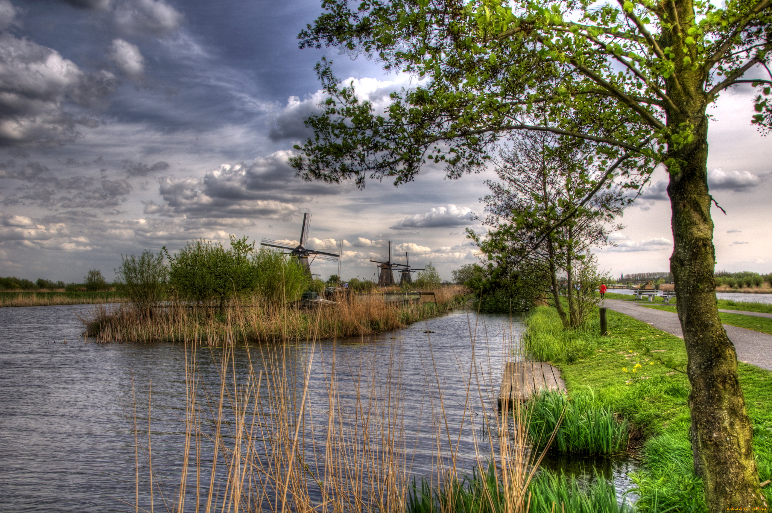 рейн, kinderdijk, holland, природа, реки, озера, ветряки