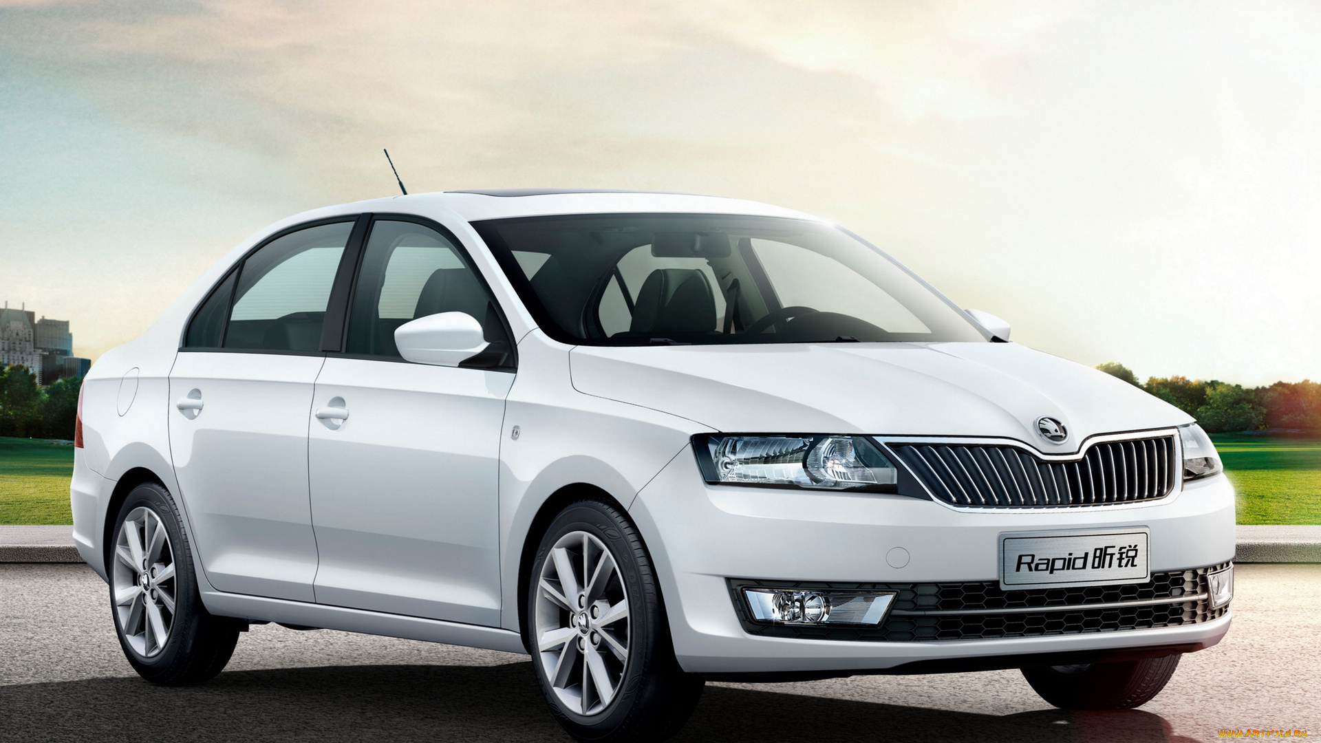 автомобили, skoda