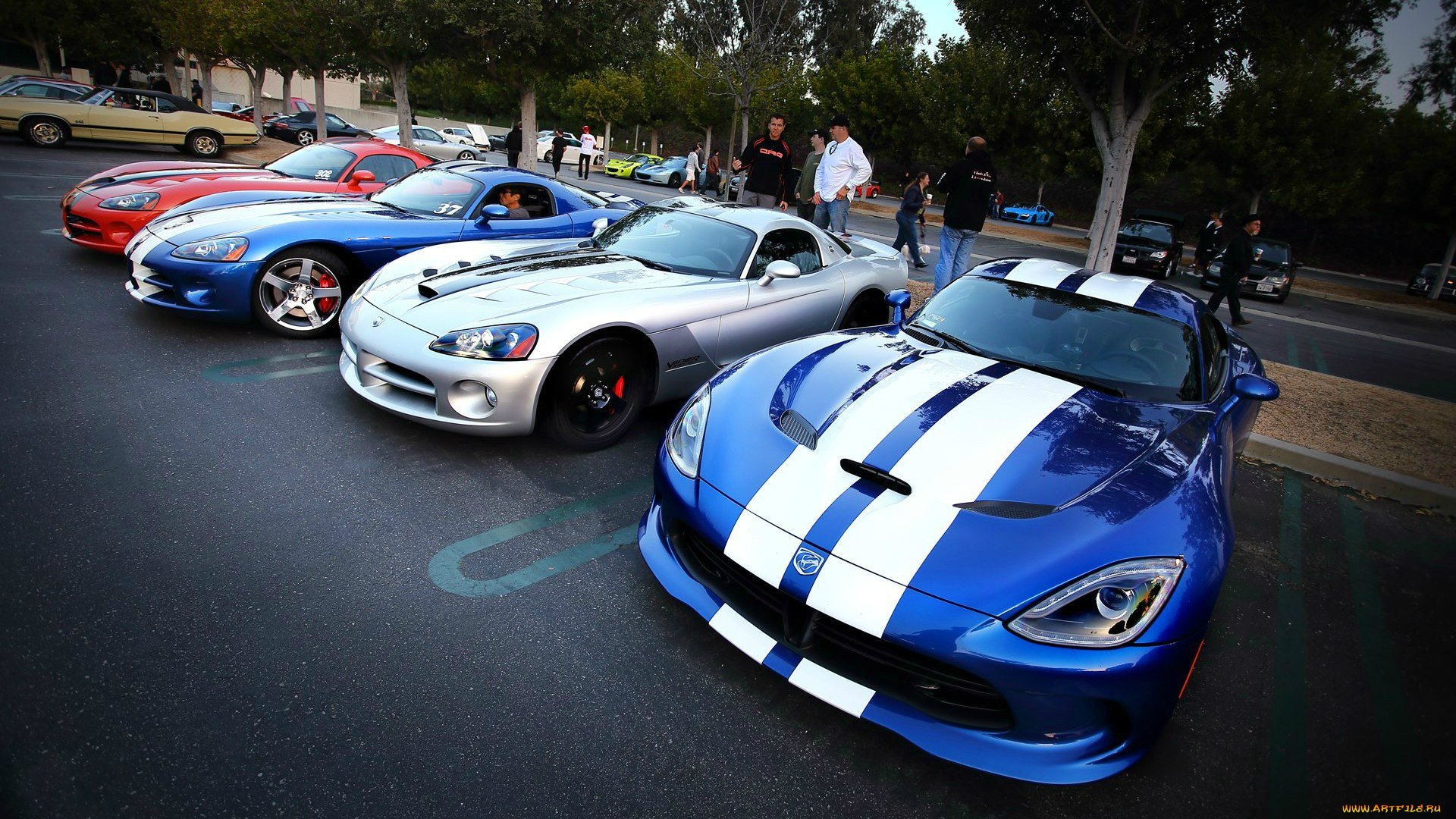 автомобили, выставки, уличные, фото, dodge, viper