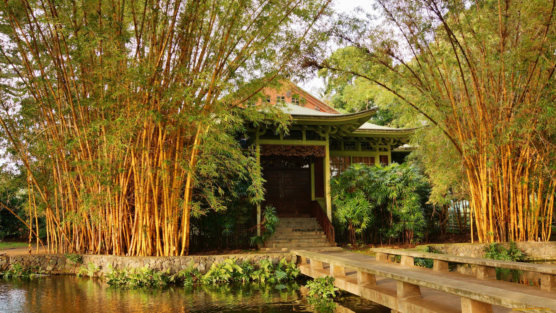 Чайный, домик, природа, парк, китай, пруд, растительность