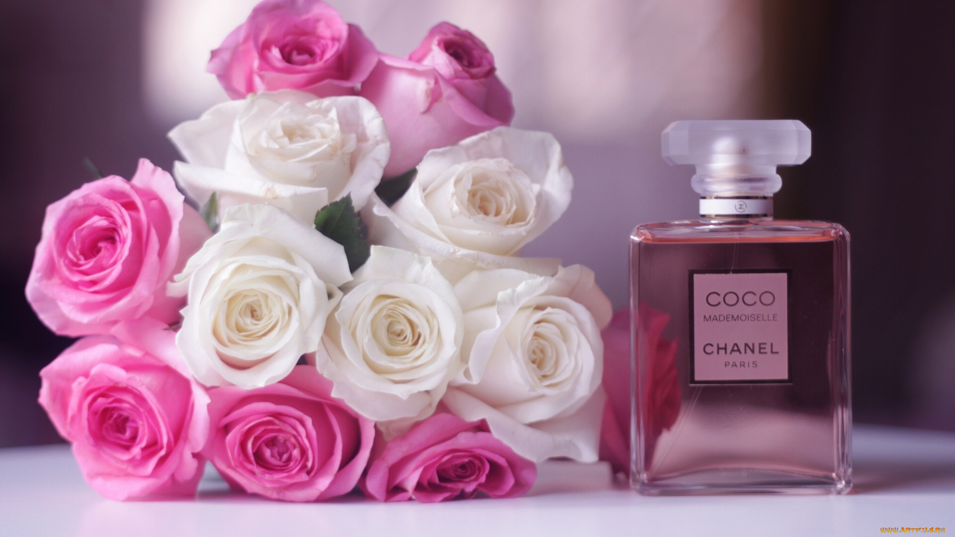 coco, chanel, бренды, цветы, розы, букет, бутоны, духи, коко, шанель