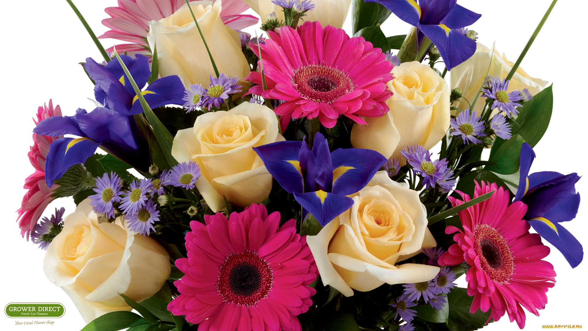 цветы, букеты, композиции, герберы, розы, ирисы