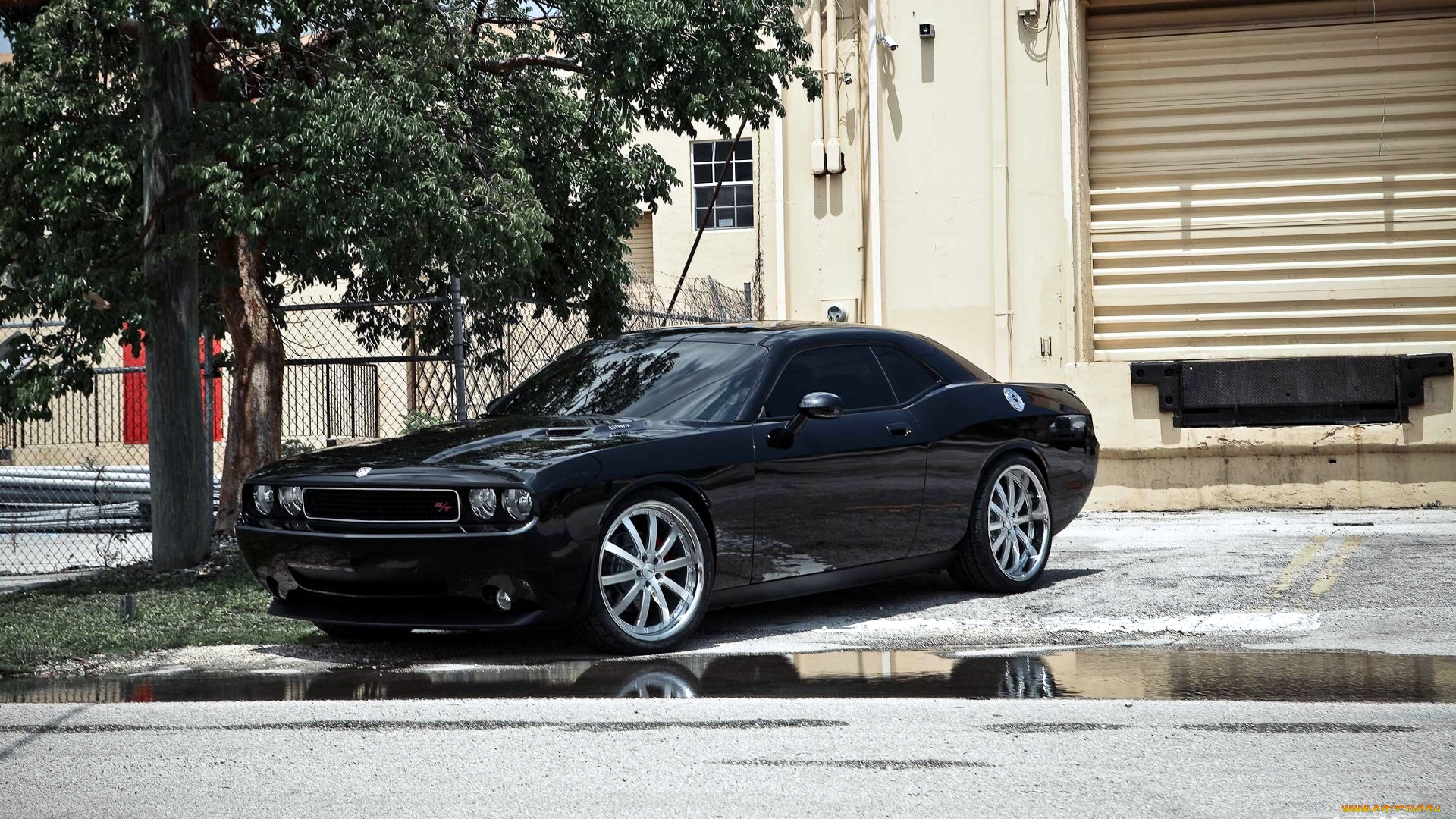 dodge, challenger, автомобили, chrysler, group, llc, сша